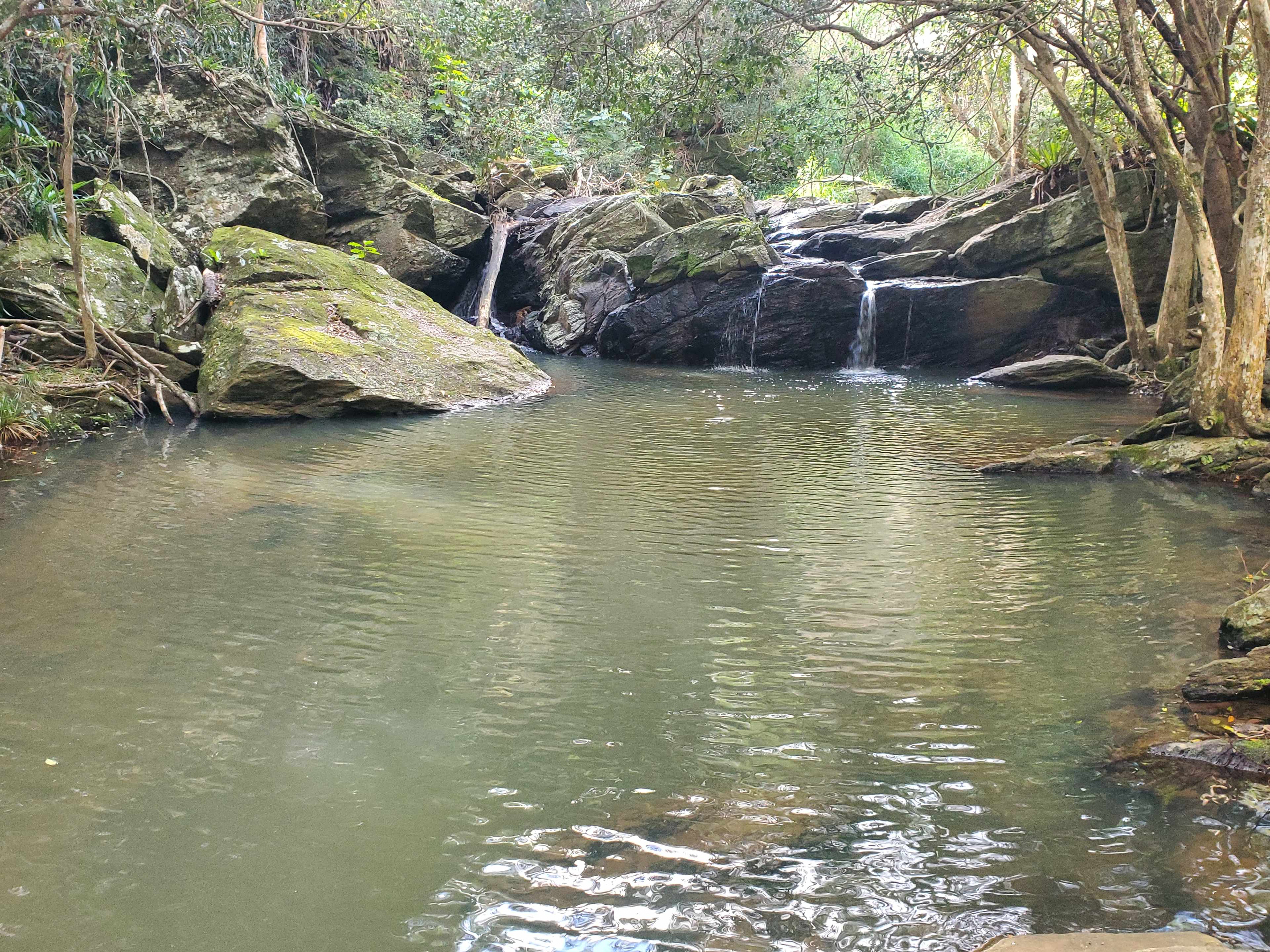 Coorie Vale