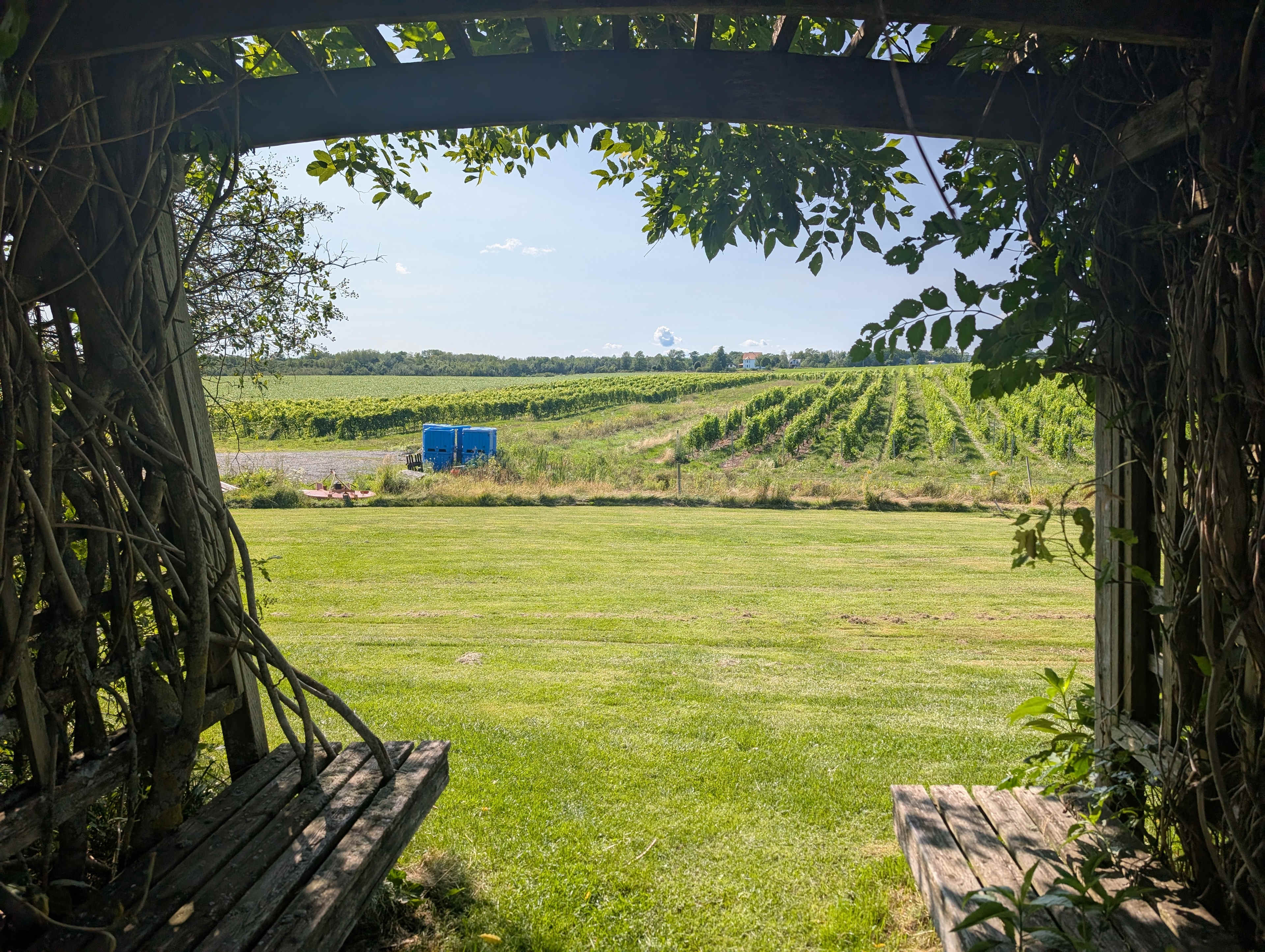 Mumana Vineyards