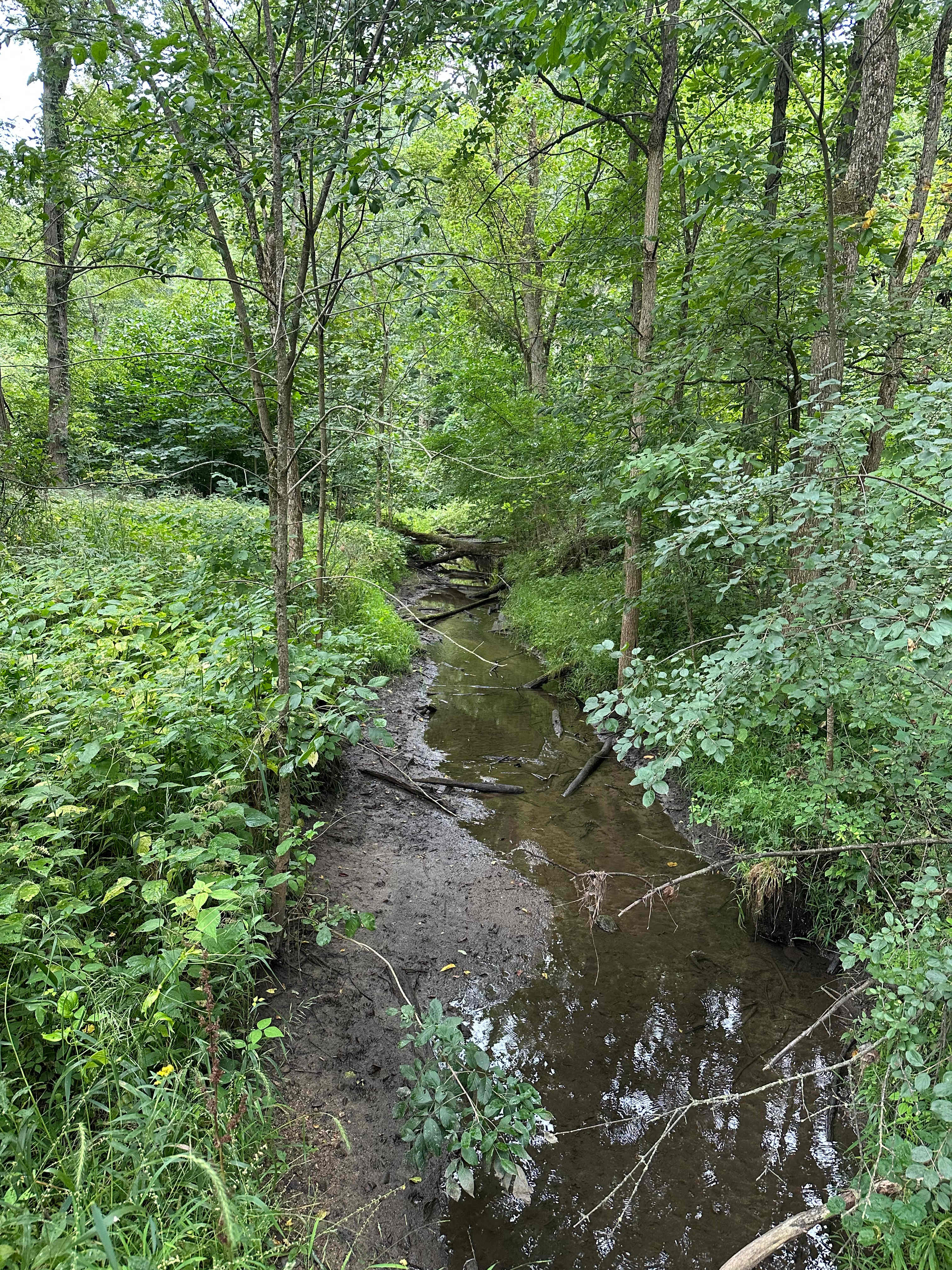 Boone Farm & Forest