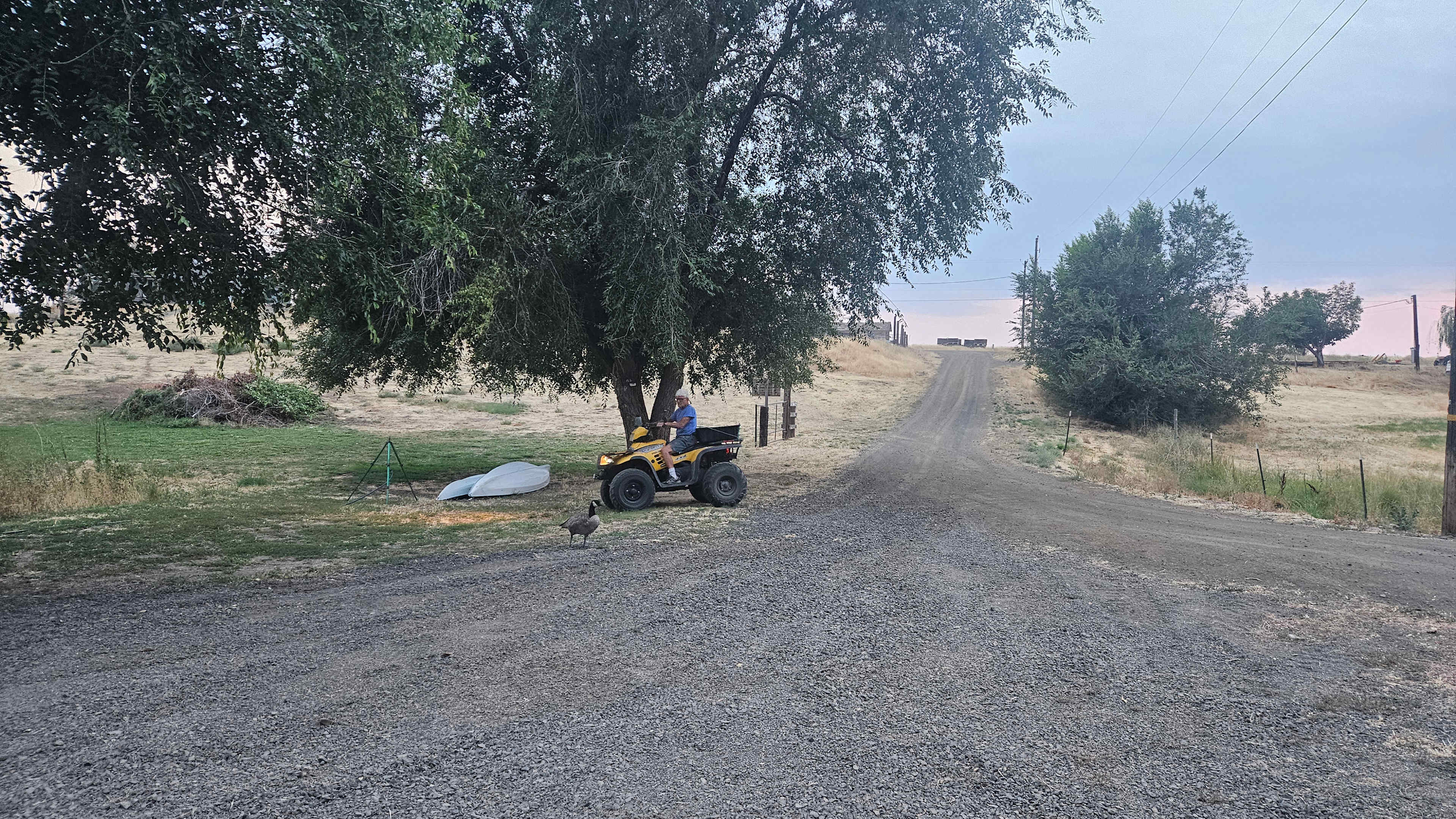 Cottonwood Country Camp