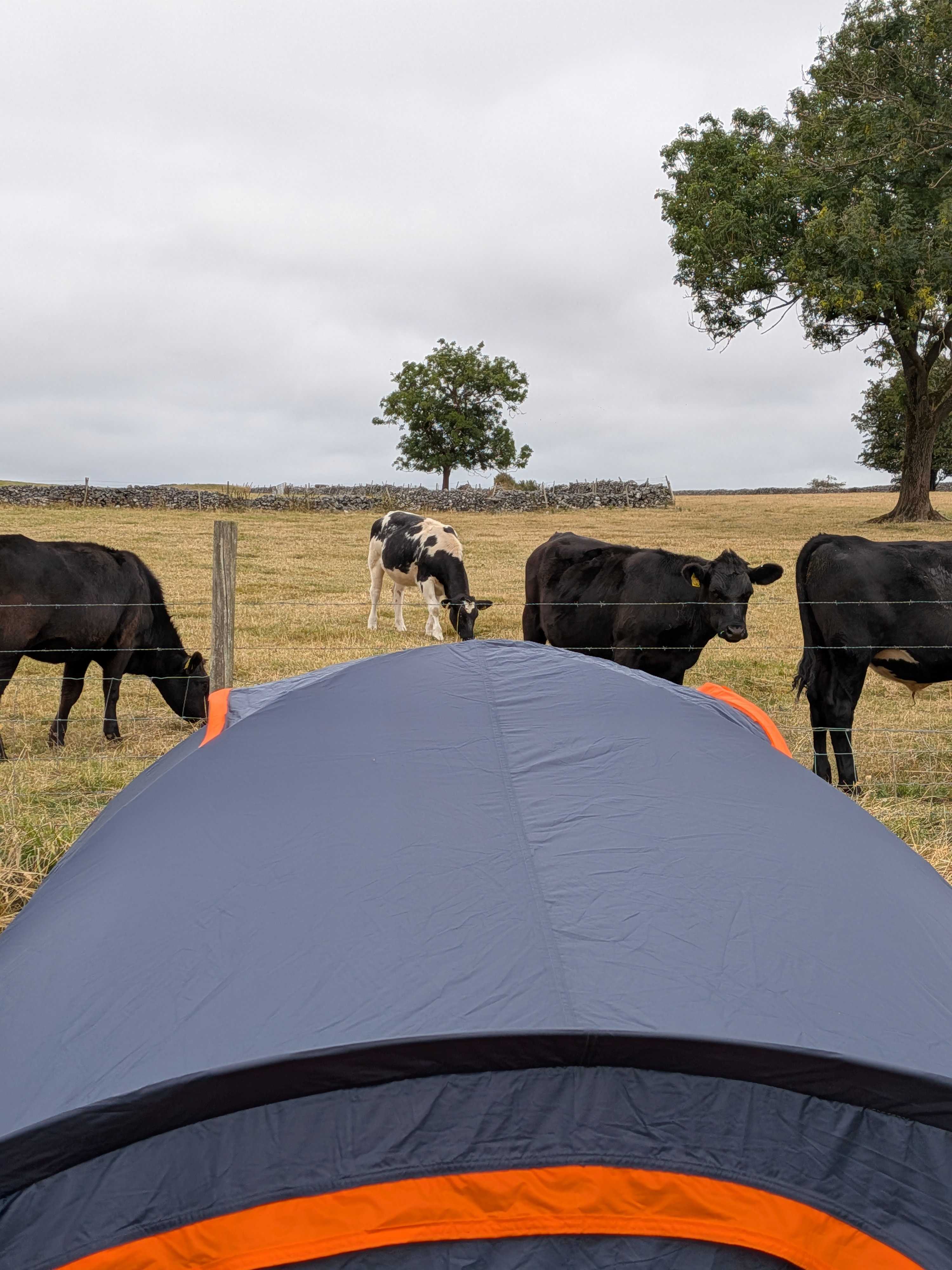 White Peak Camping