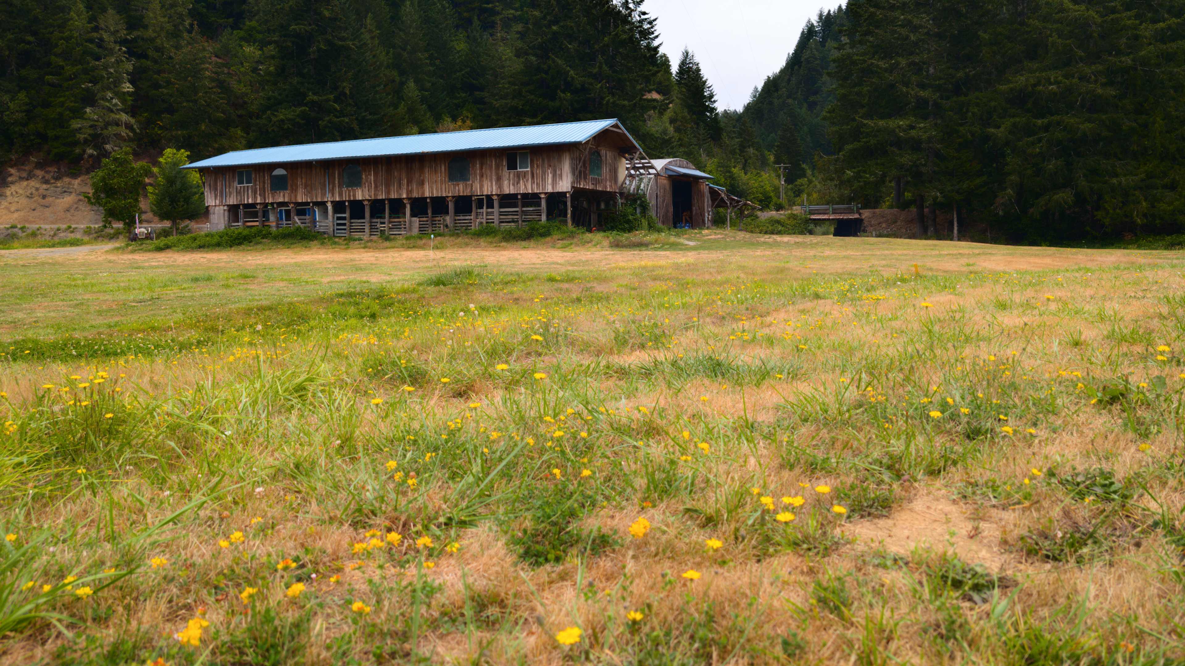 Barn you will see when you arrive