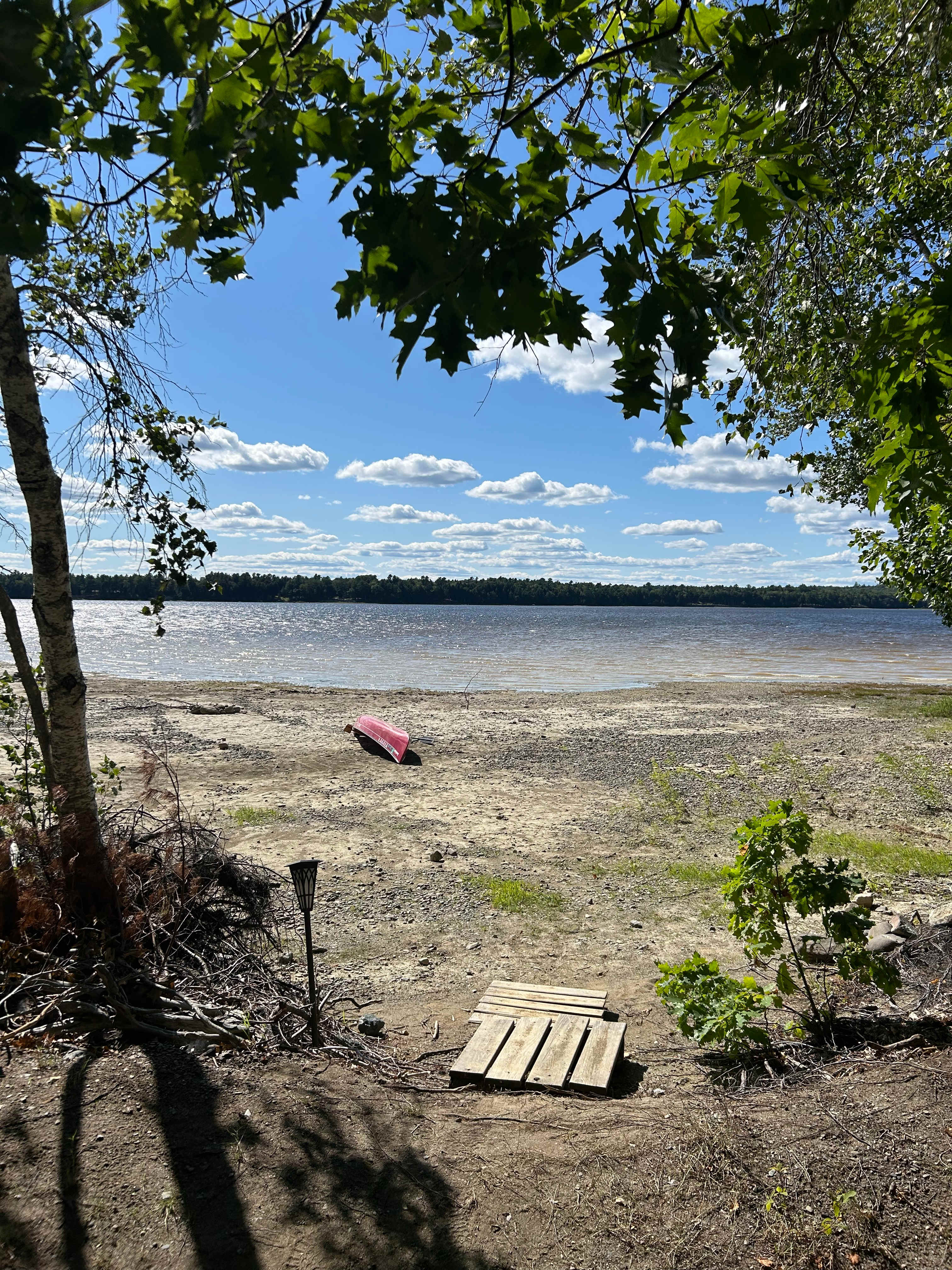paddle board and boats available