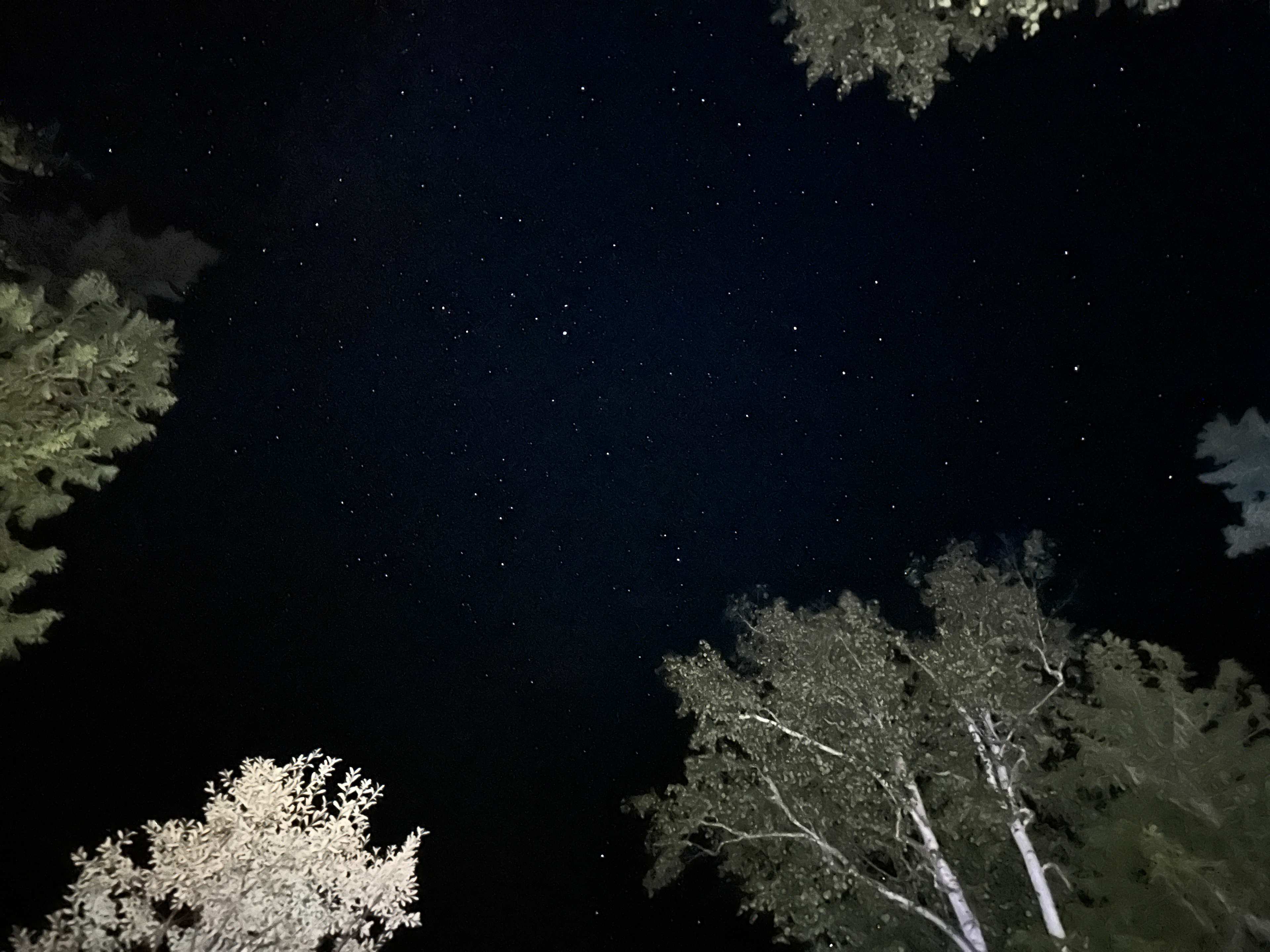 Herman Lake Wilderness Campground