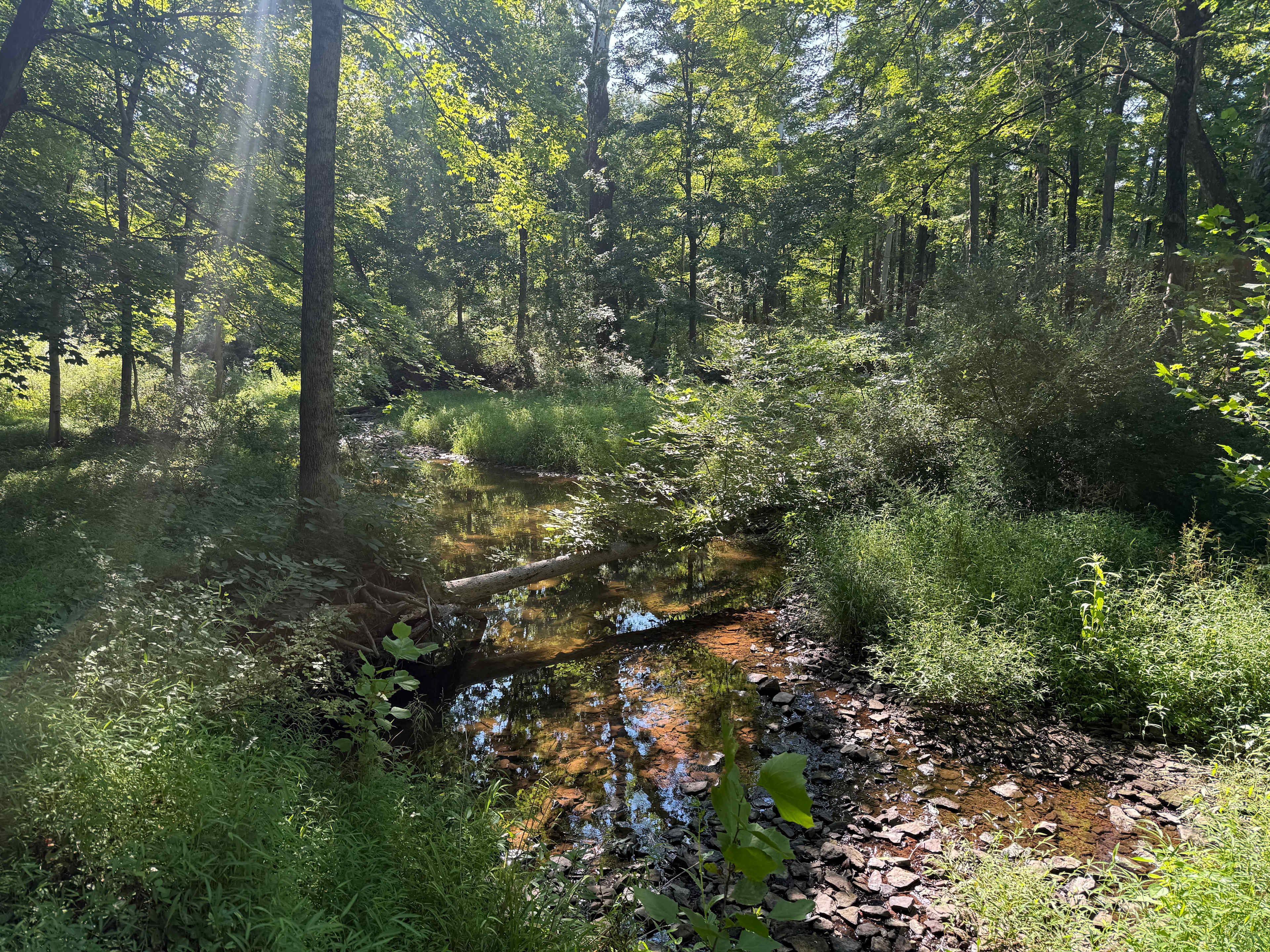 Grampy's Red Rock Rabbit Ranch