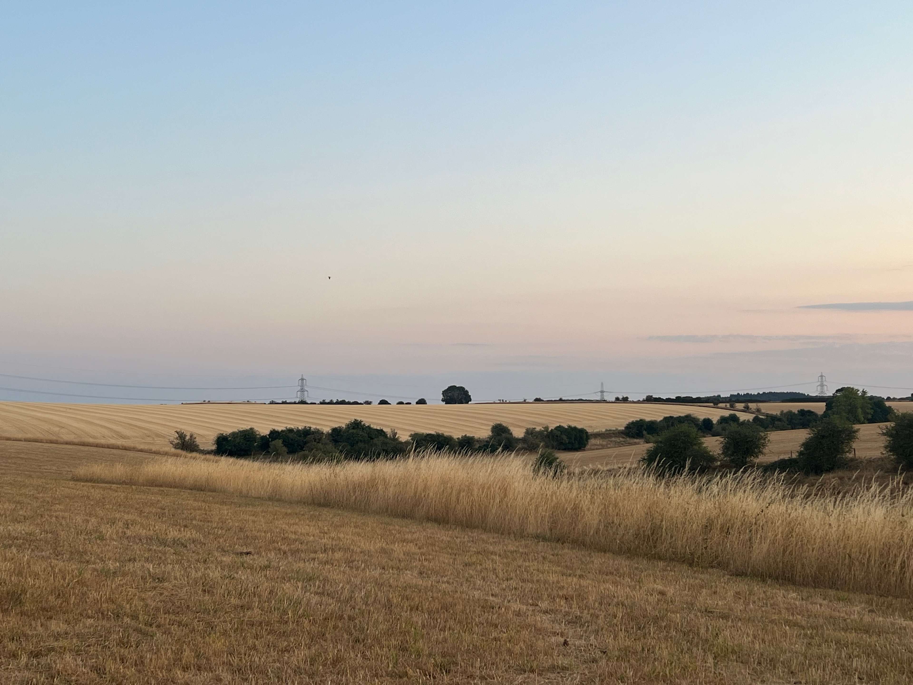 Wild Camping in the Cotswolds