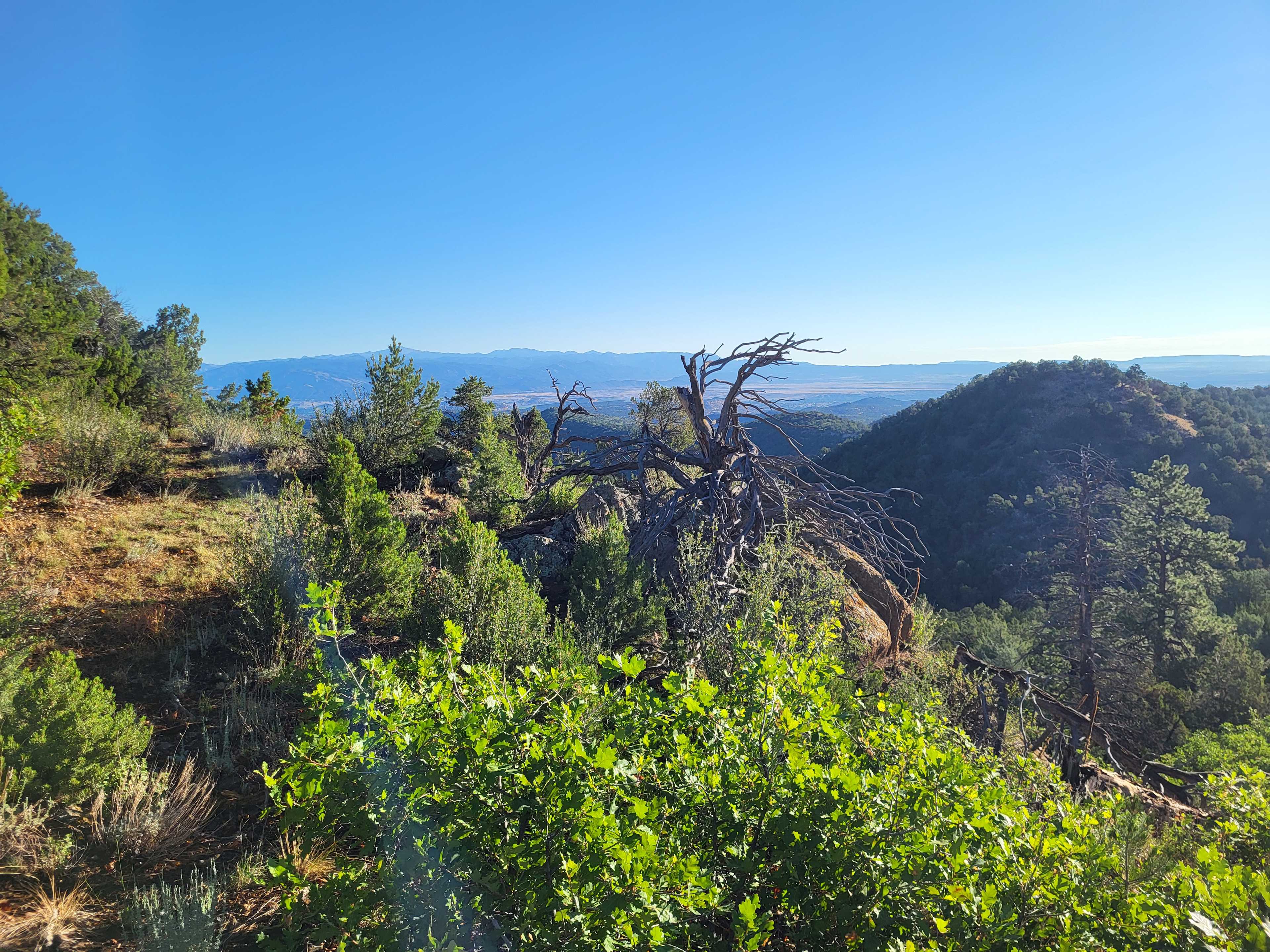 Cliffs Edge campsite