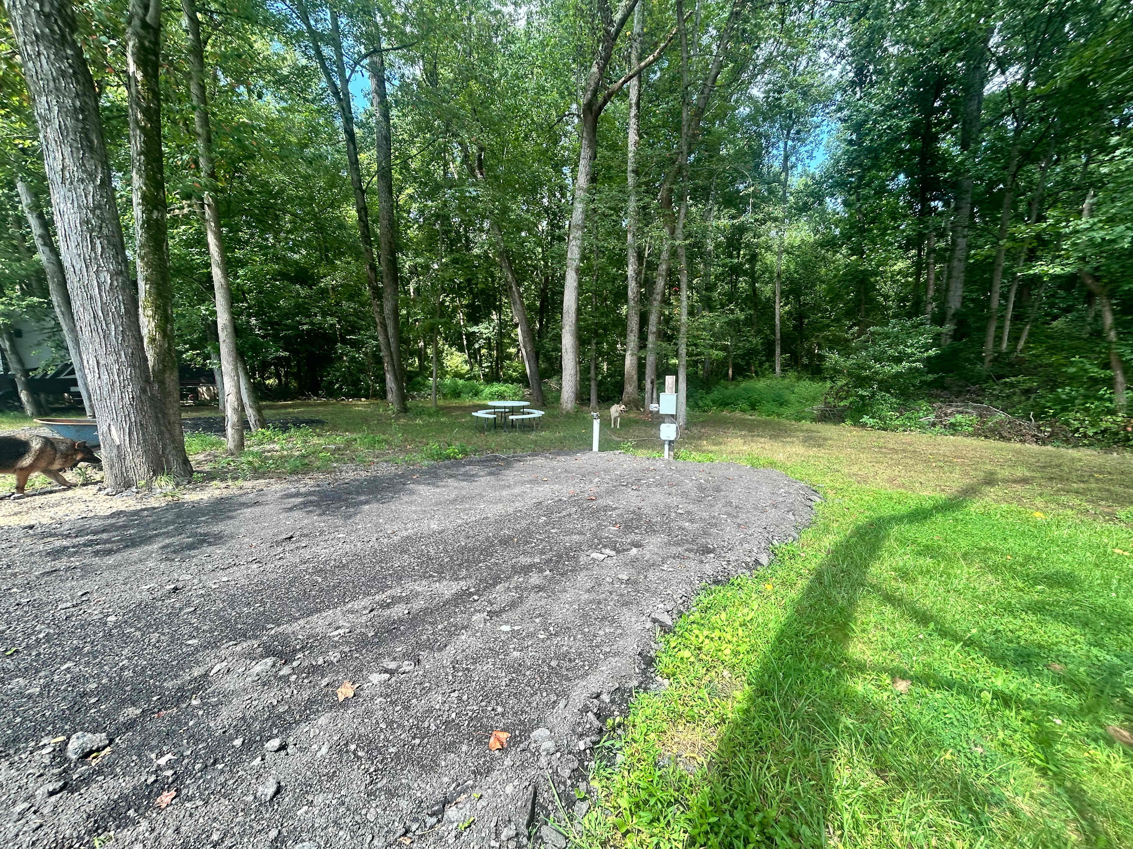 Picture of the site