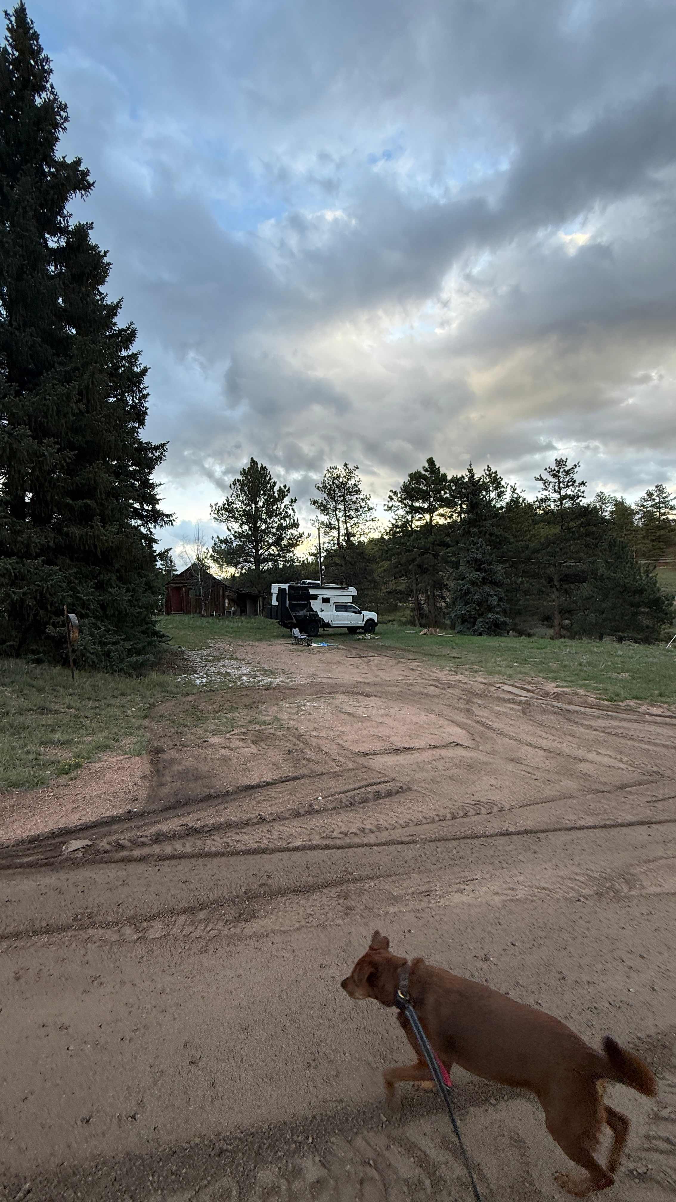 Pikes Peak Drive Peaceful Acres