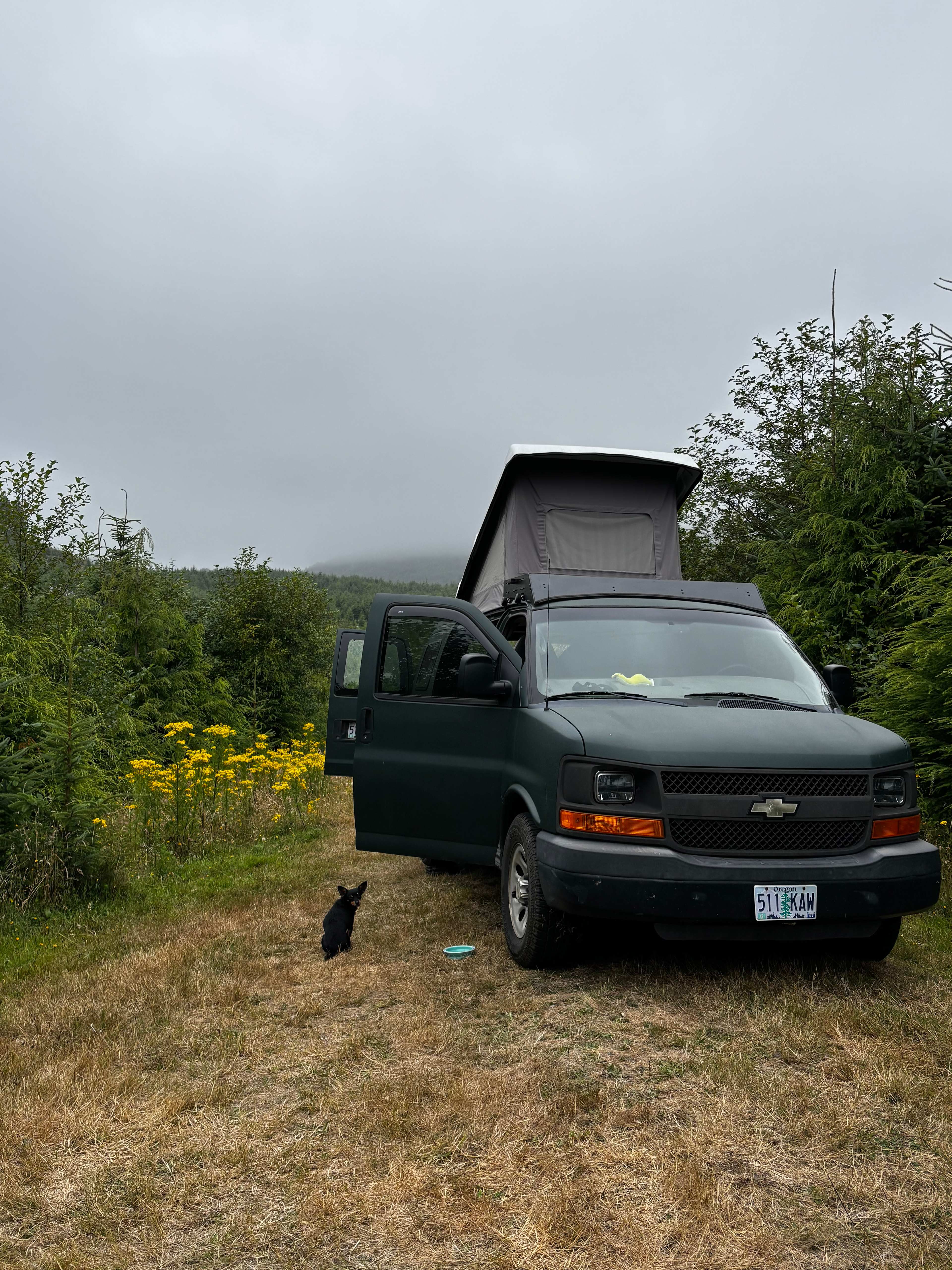 Timber Ridge Ranch @ Falcon Cove