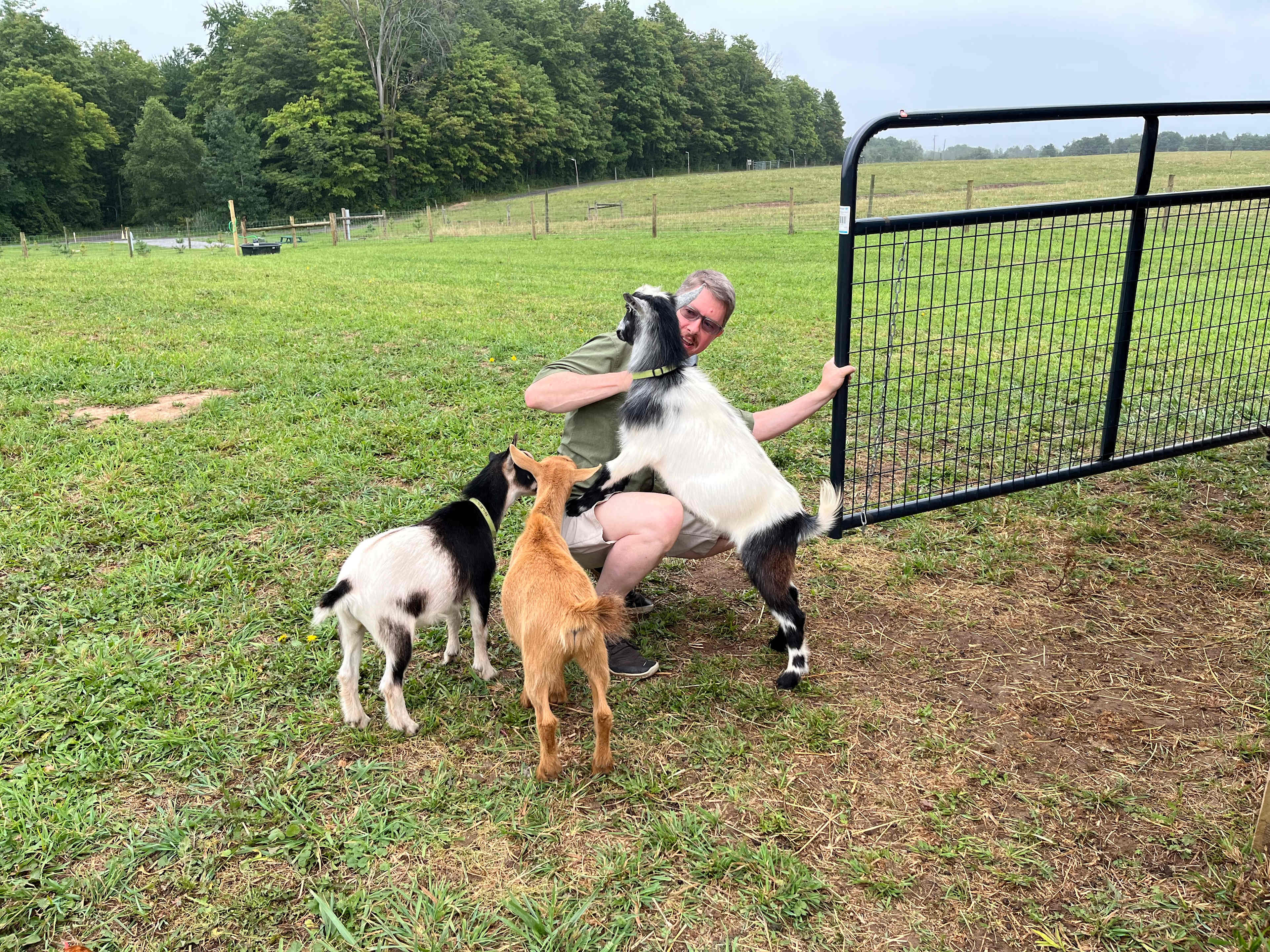 Tilden Hill Farm