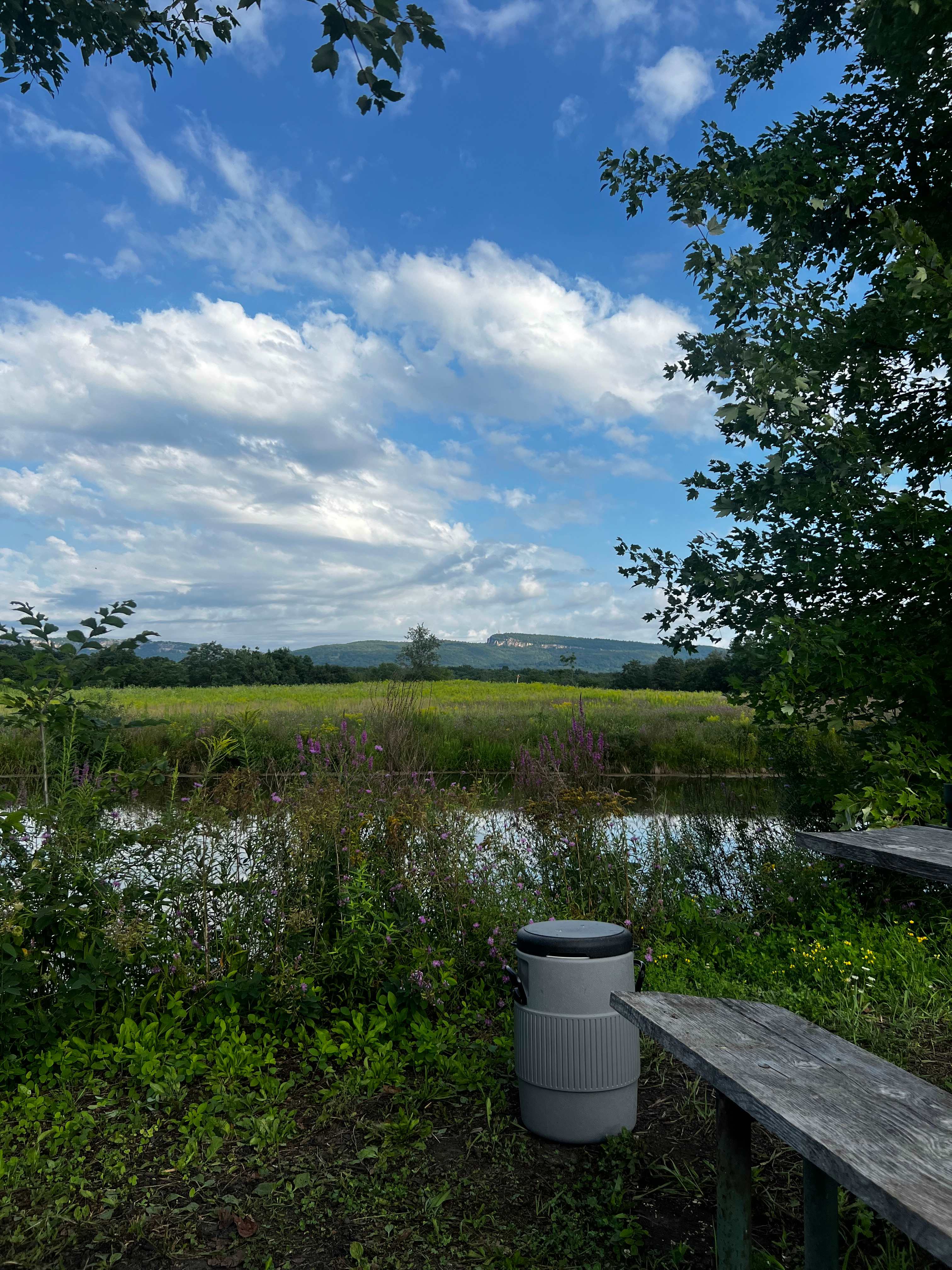 Taliaferro Farms