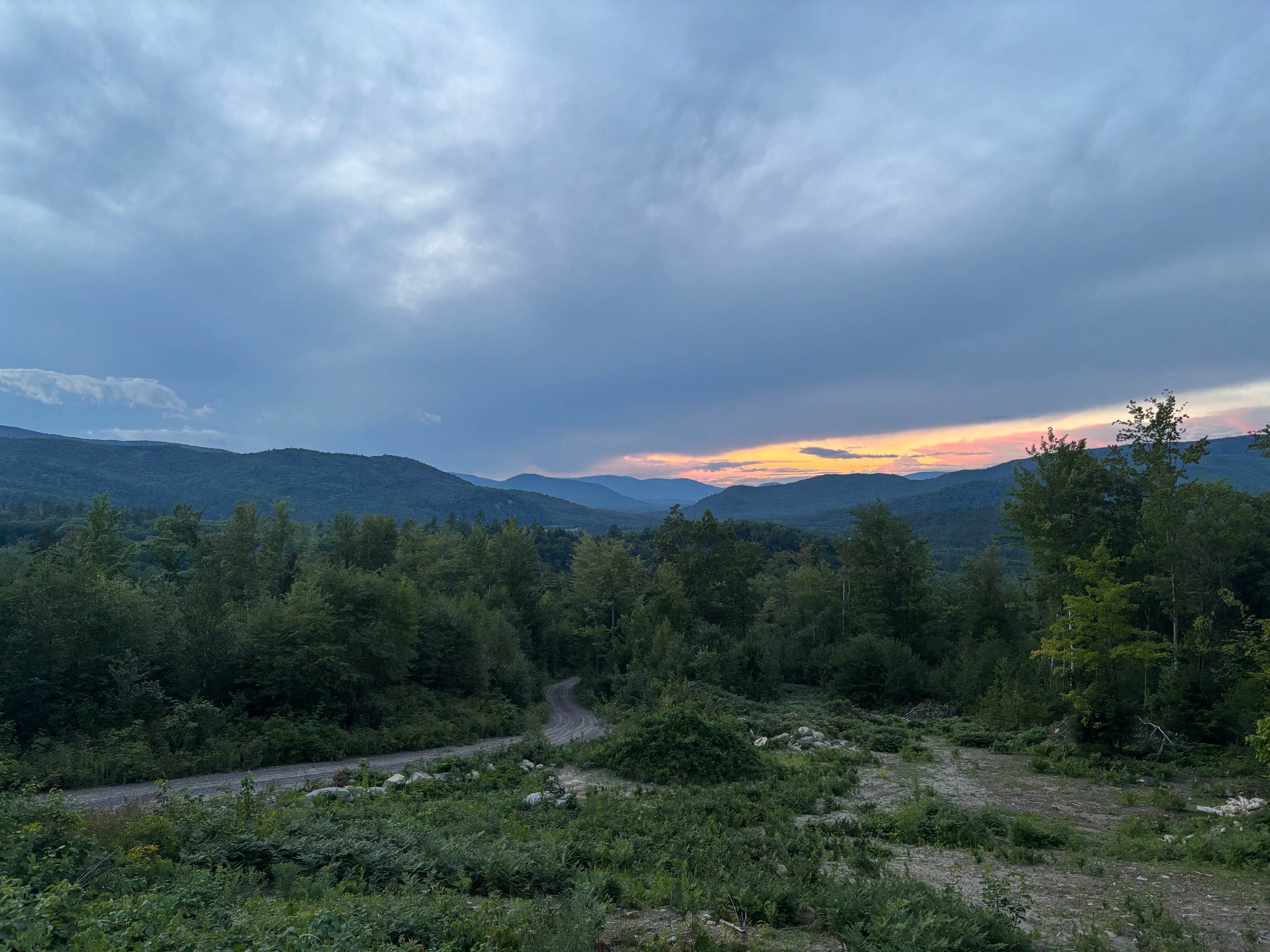 Bring Friends, Stay for the View!
