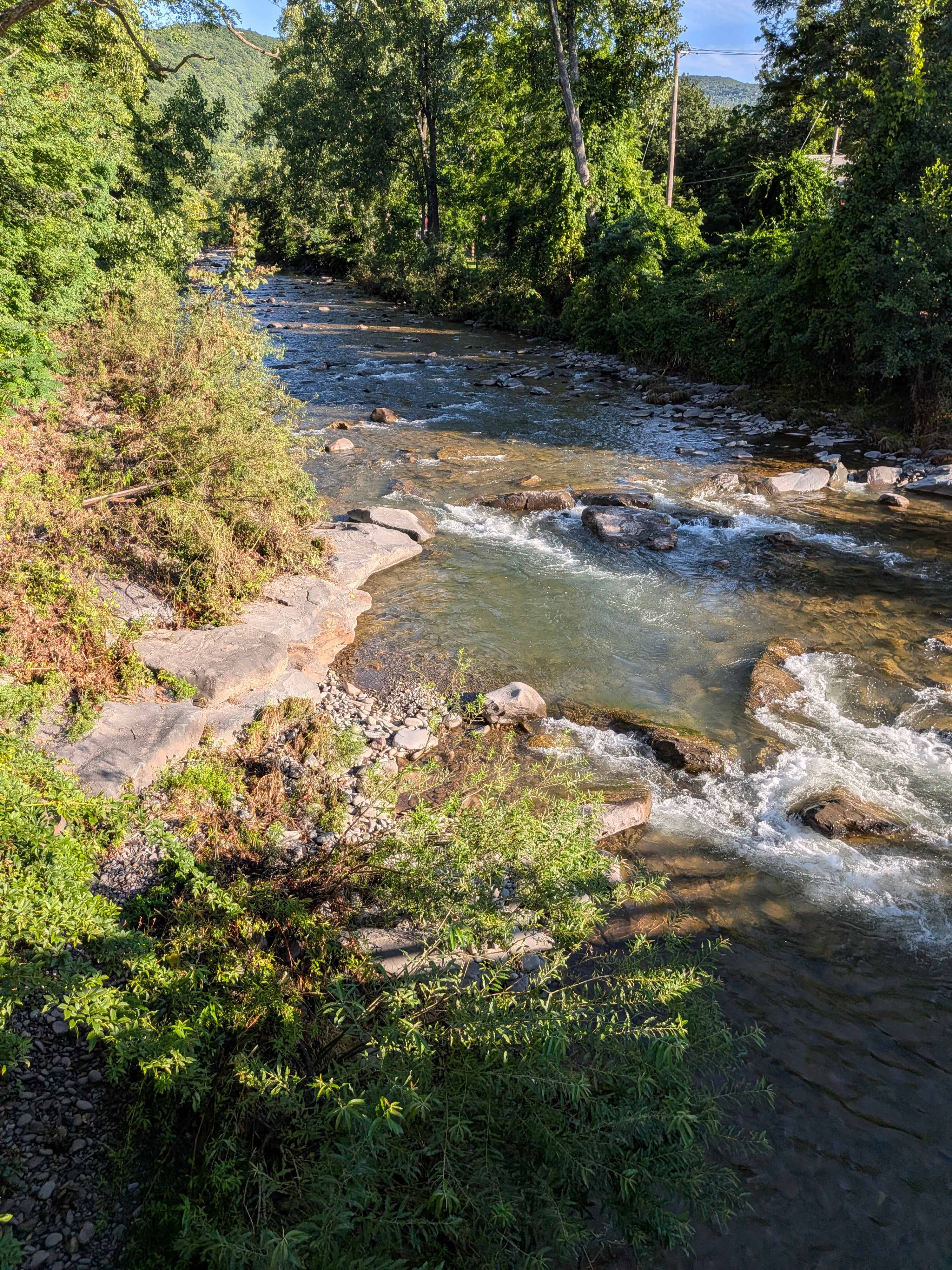 Phoenicia Creekside Cottage
