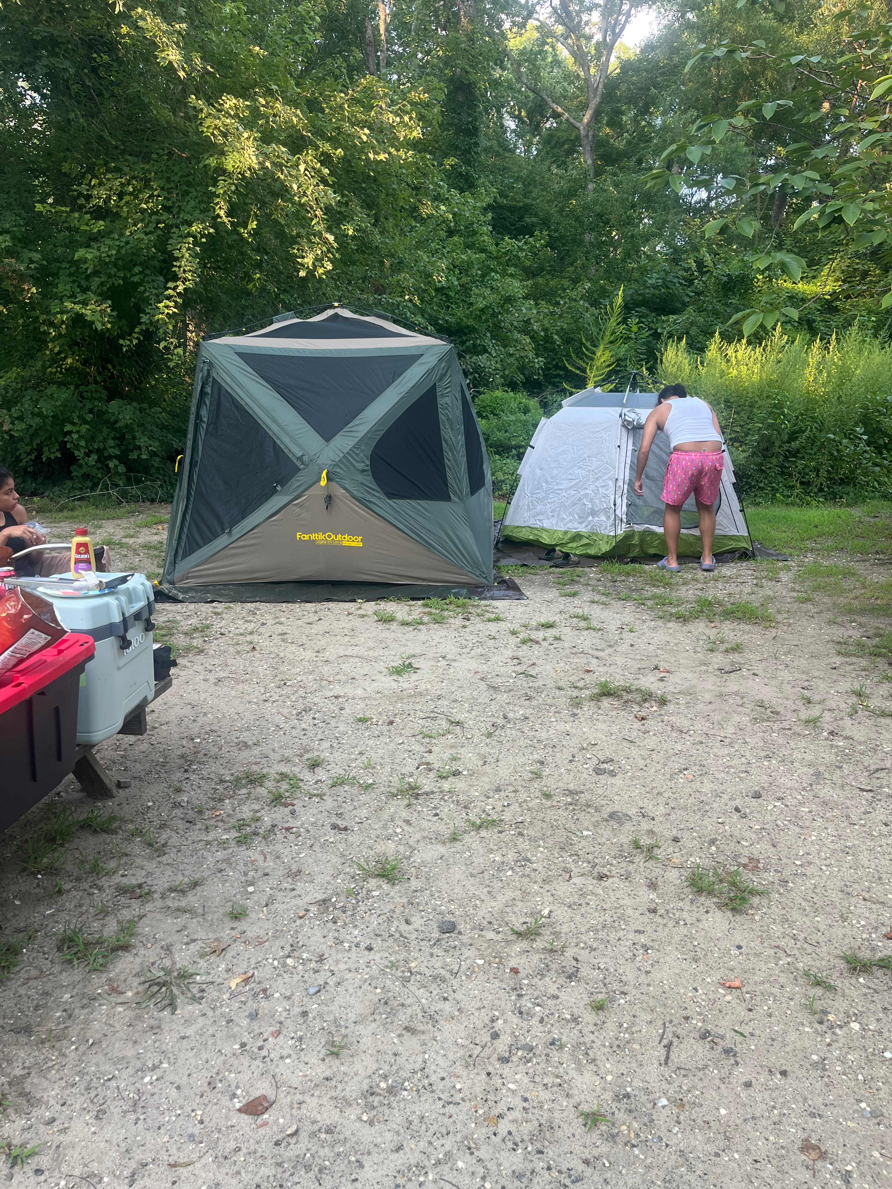 Picture of the site