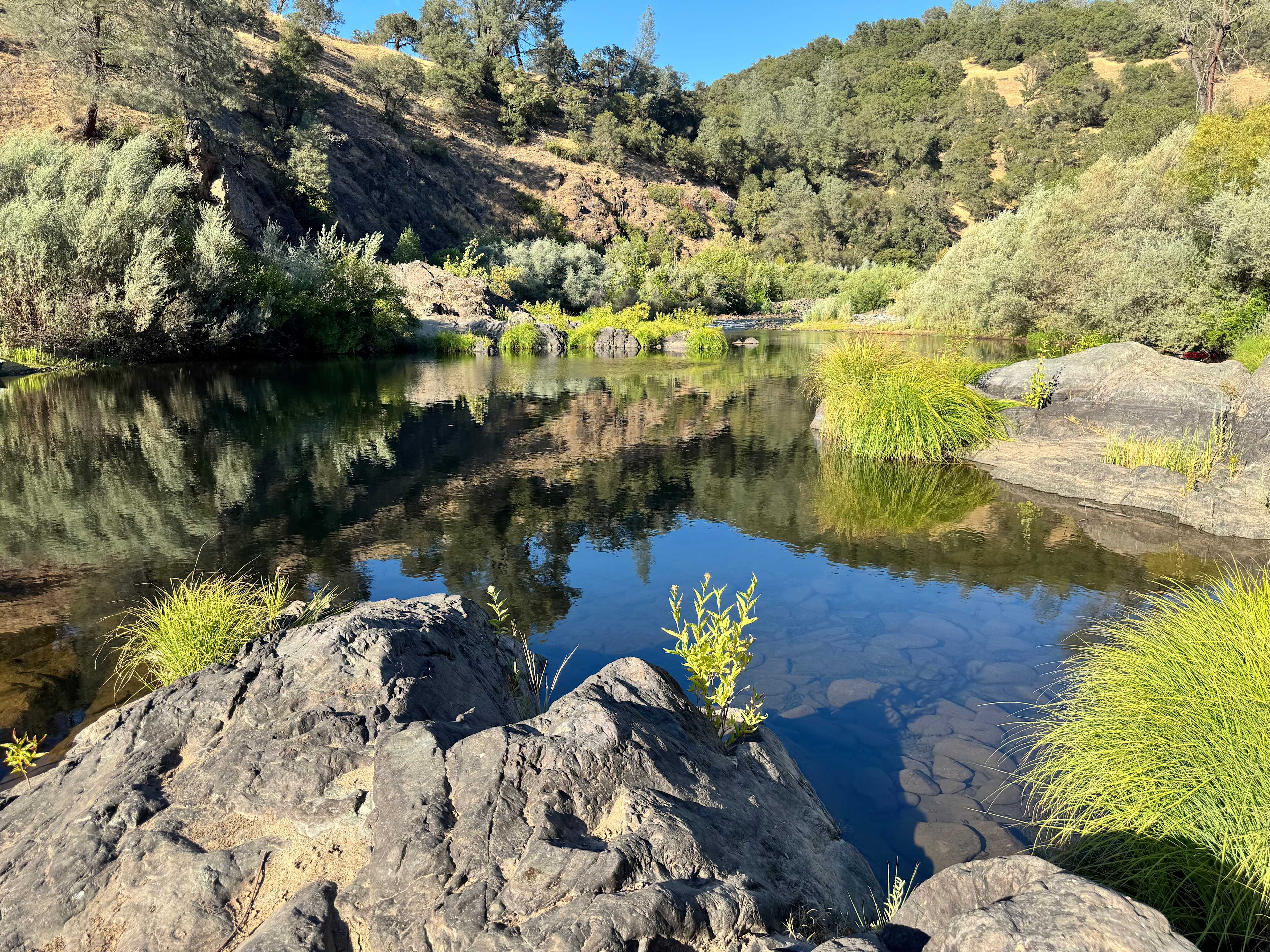 Cosumnes River Ranch