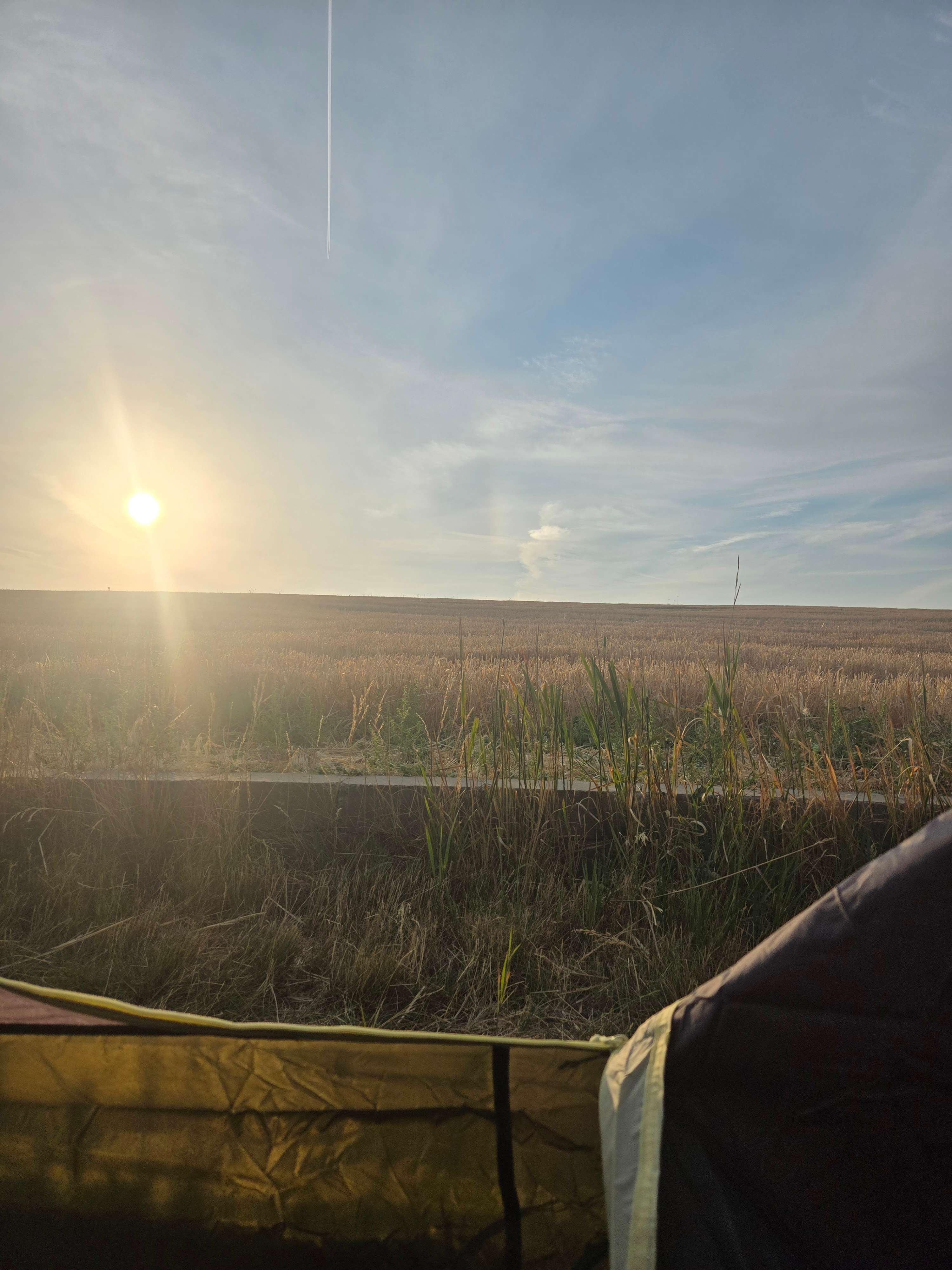View from the tent