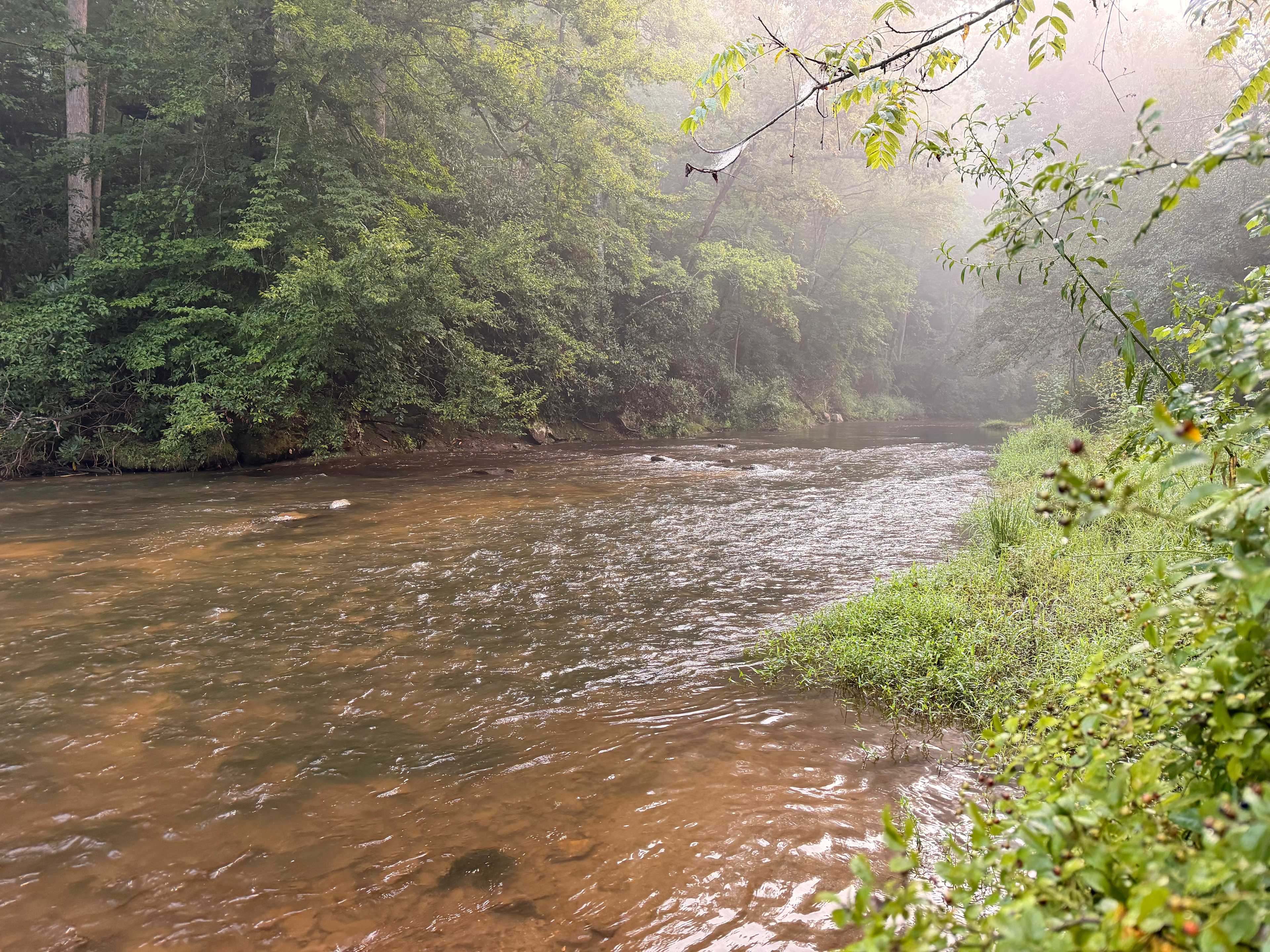 Riverside Camping on the Farm