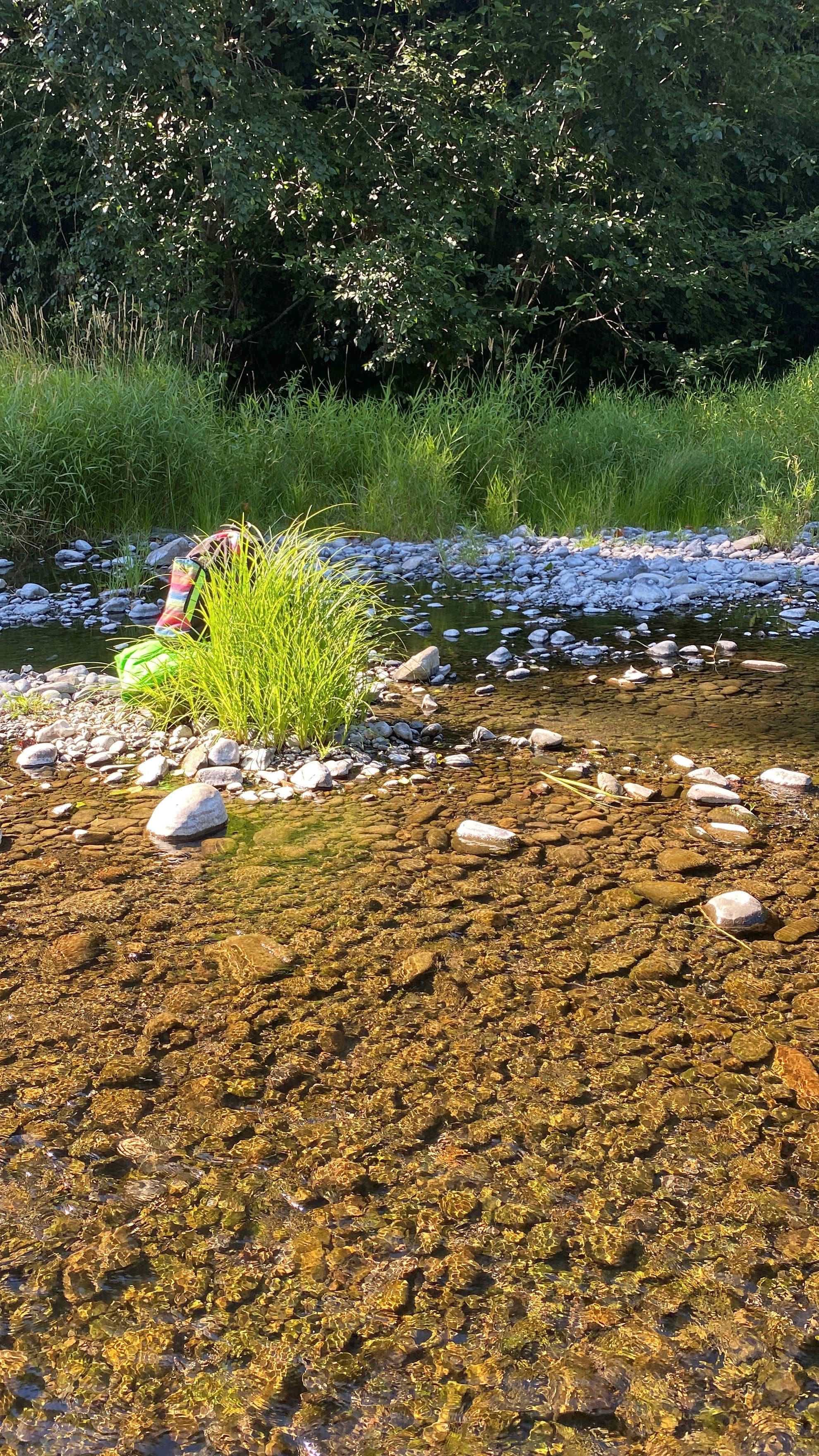 Glamping In The Wild