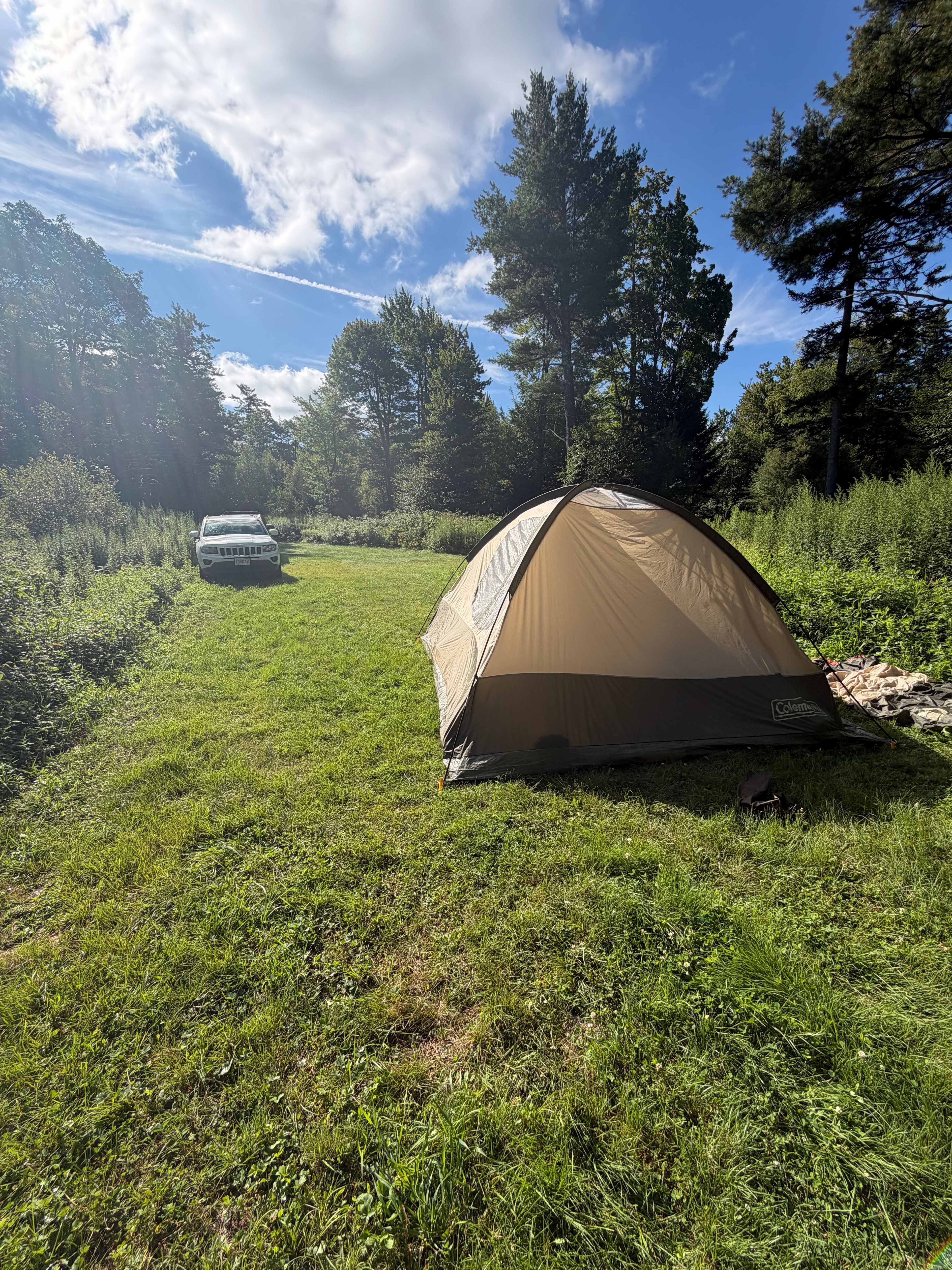 Haines Falls Mountain Retreat