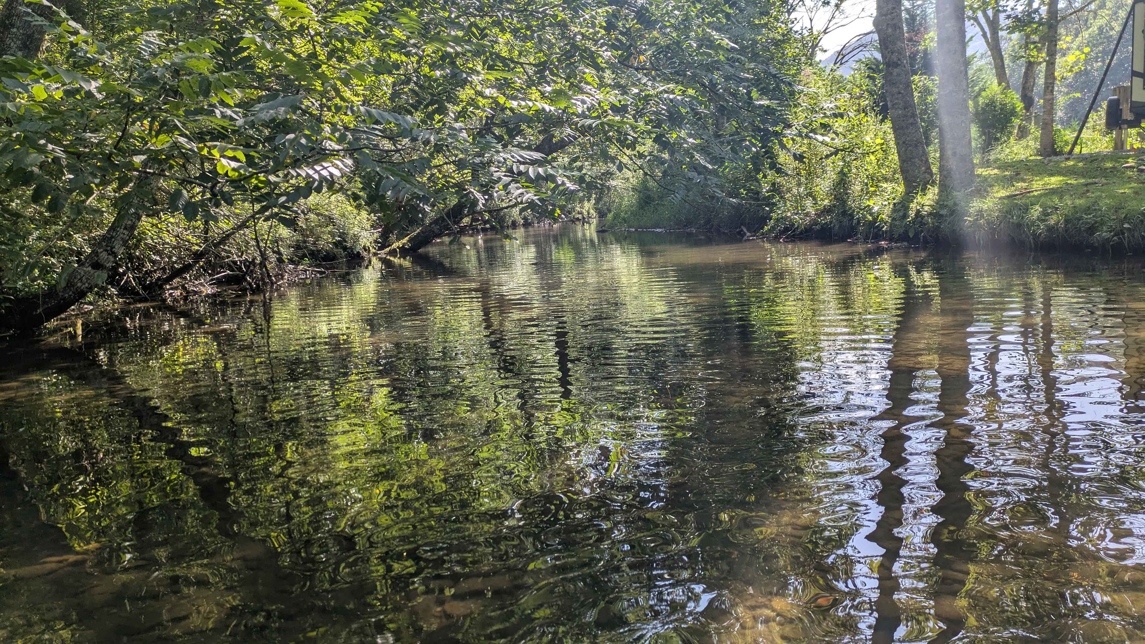Sitting in the middle of the creek