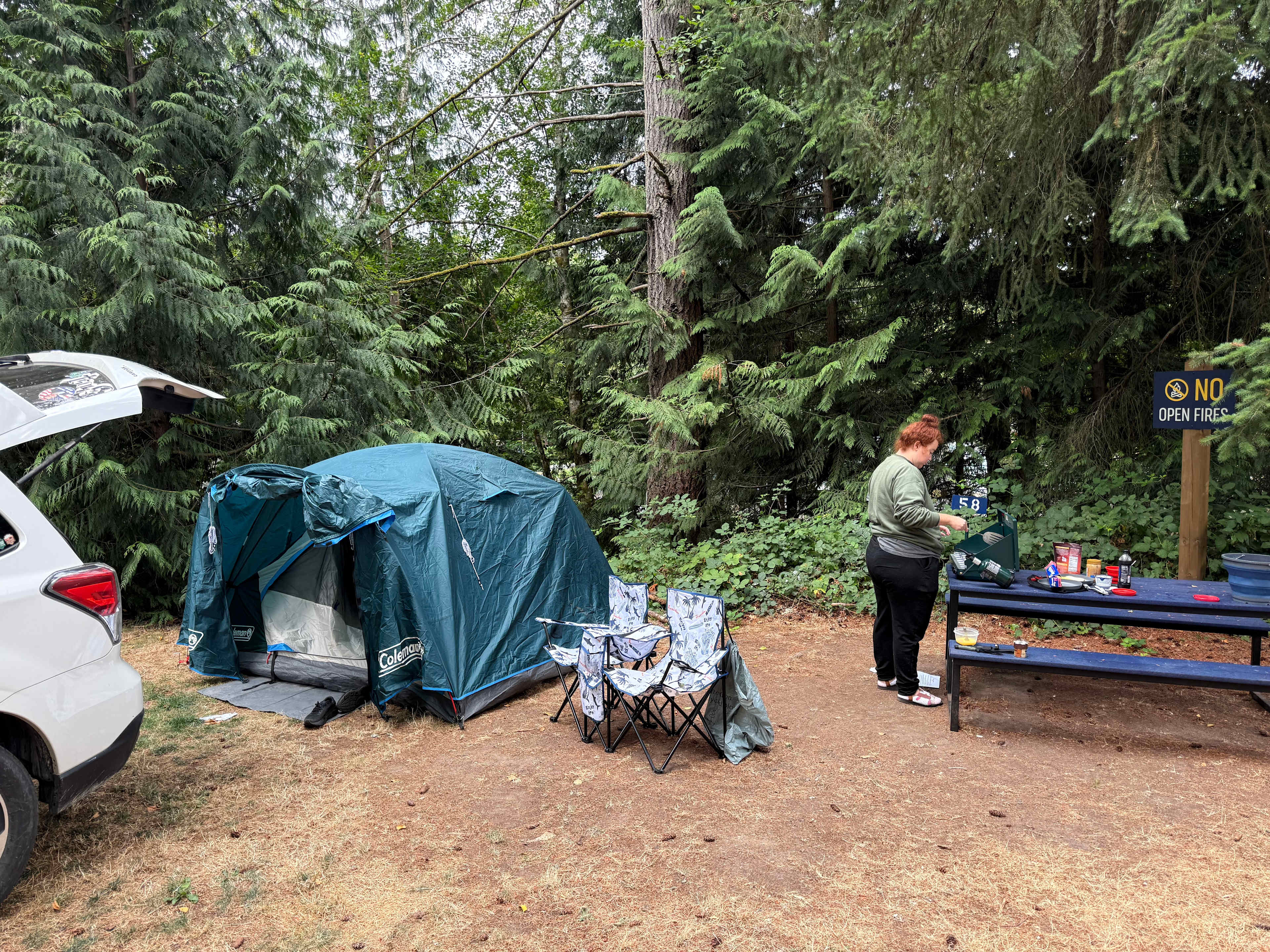 Picture of the site