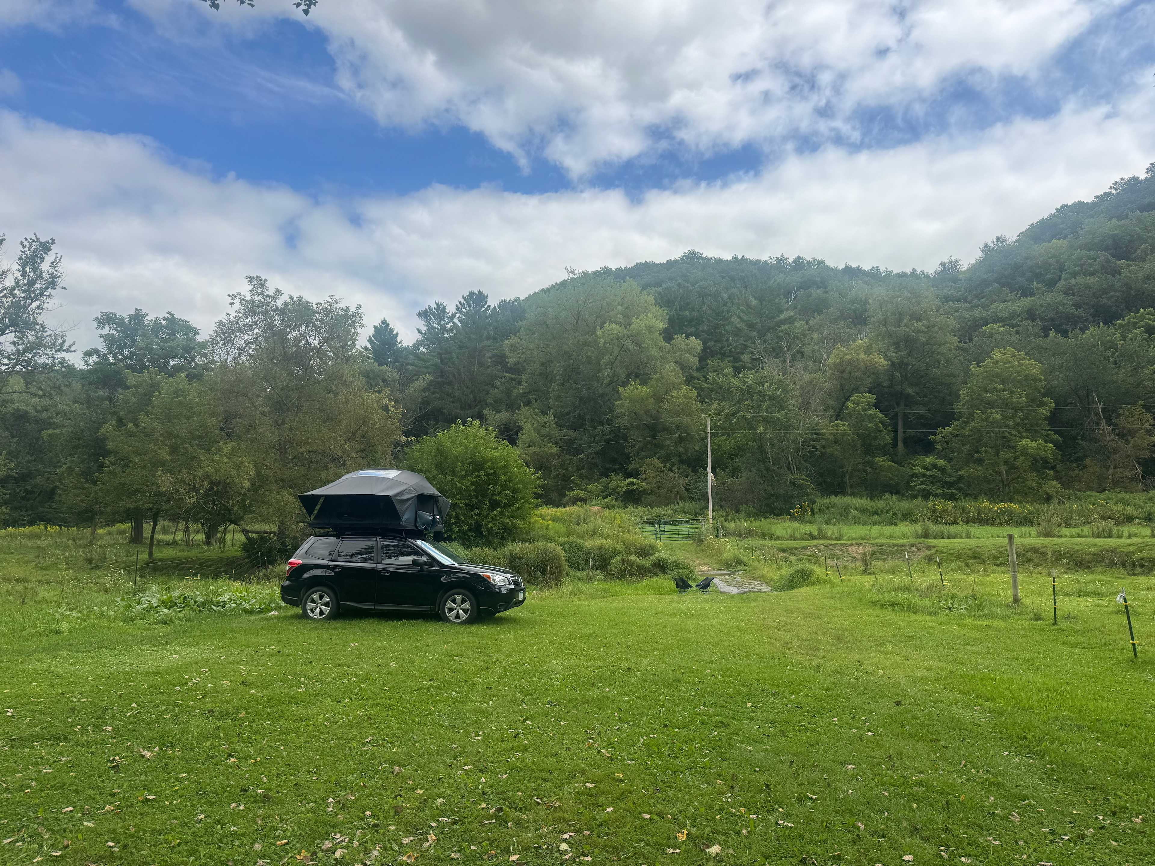 View of some of the site and creek