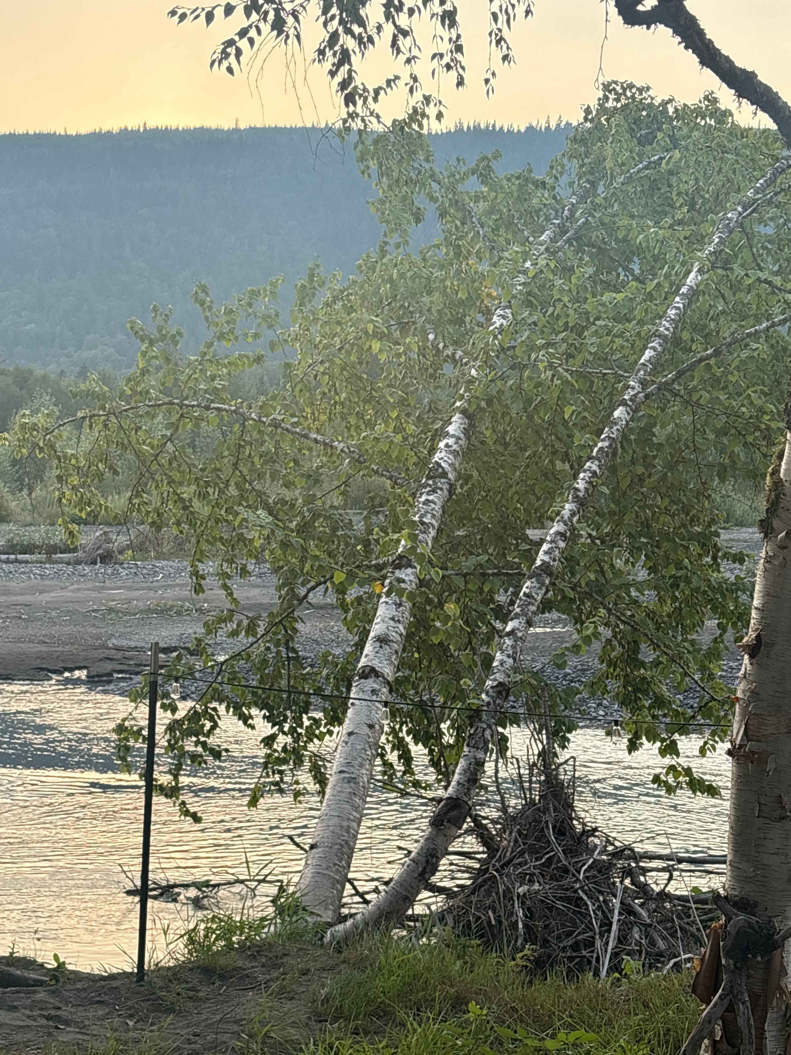 3 Rivers Farm