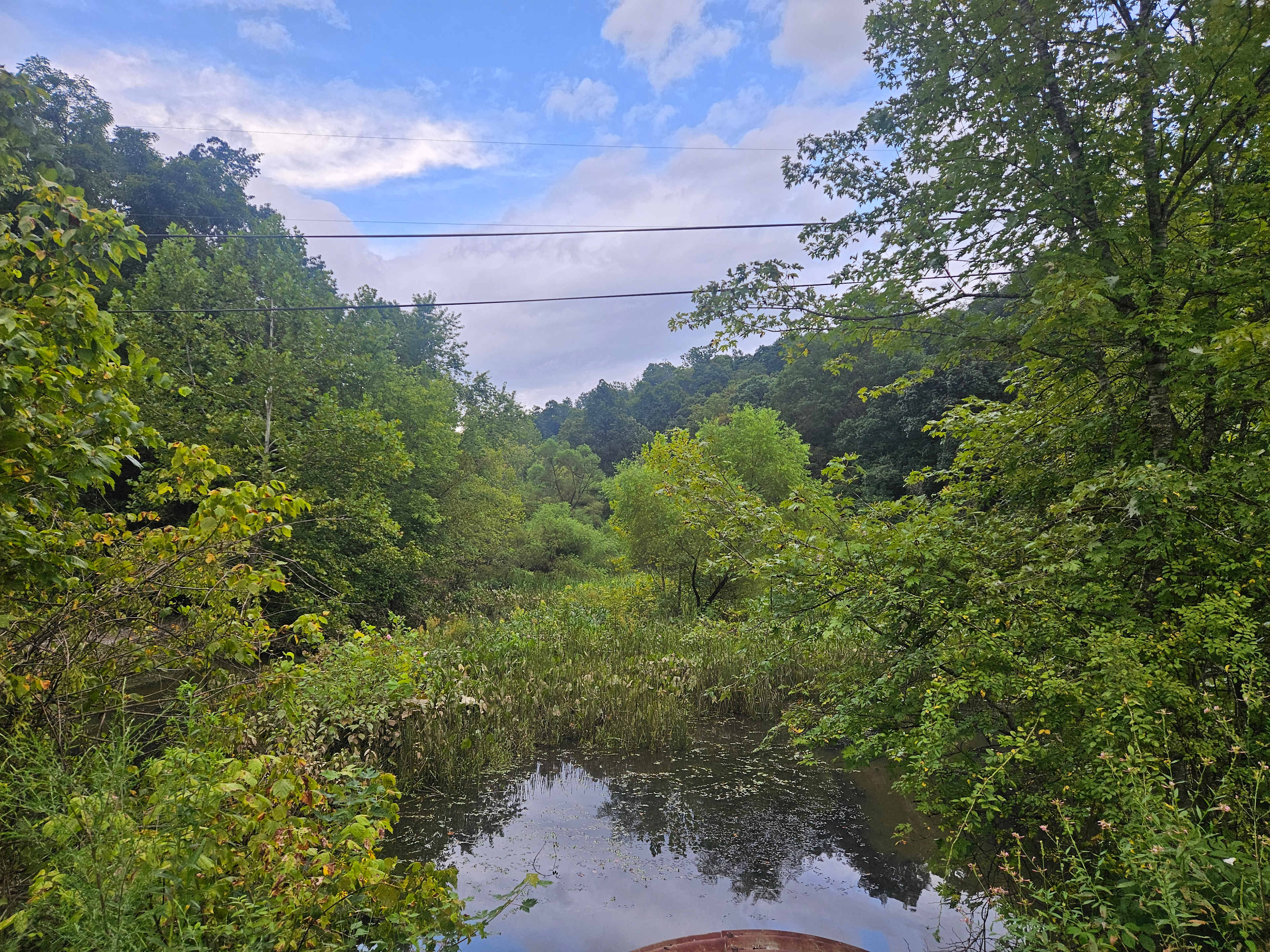 Werry's Secret Resort on the River