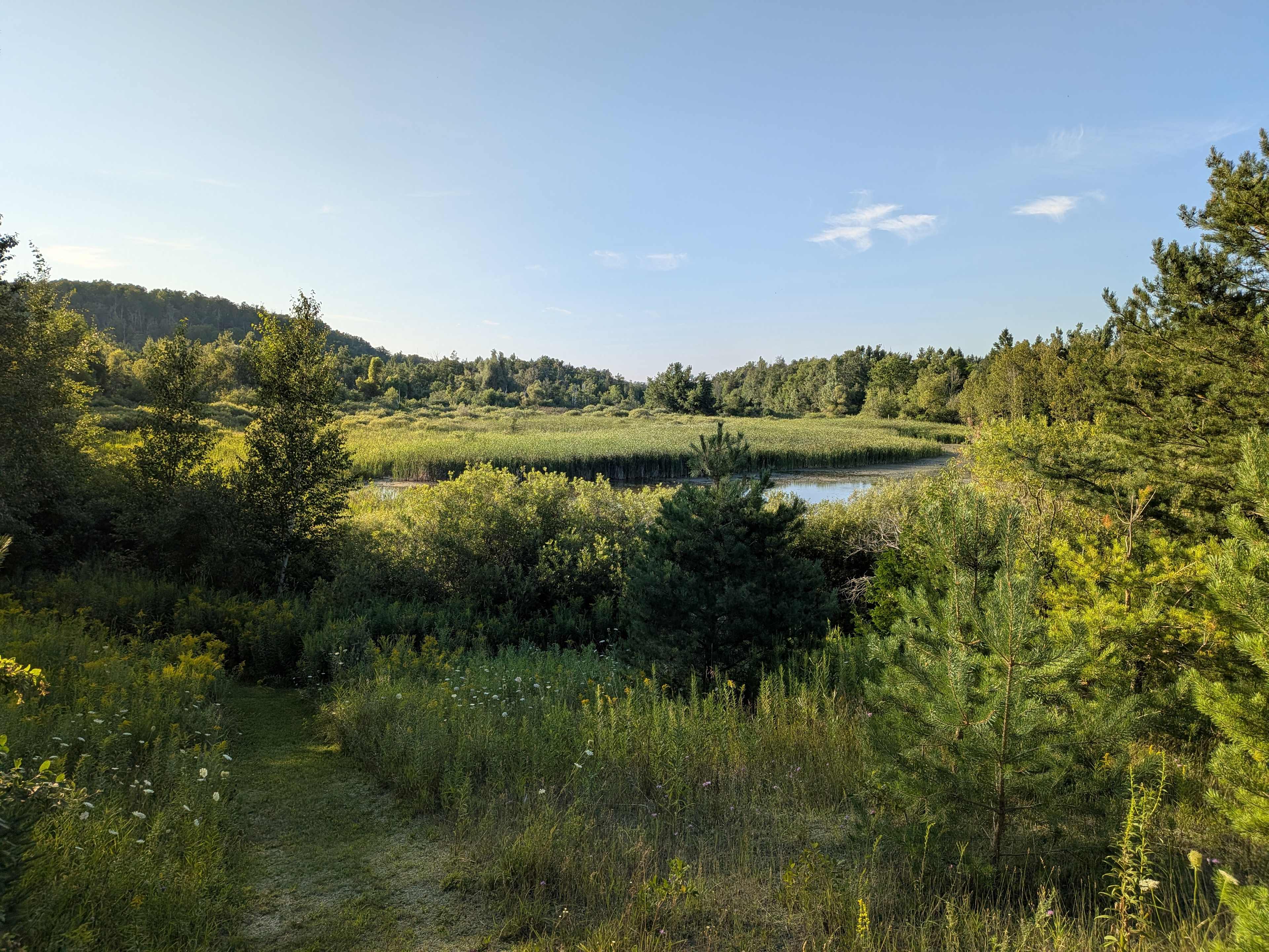 Next to Mono Cliffs Provincial Park