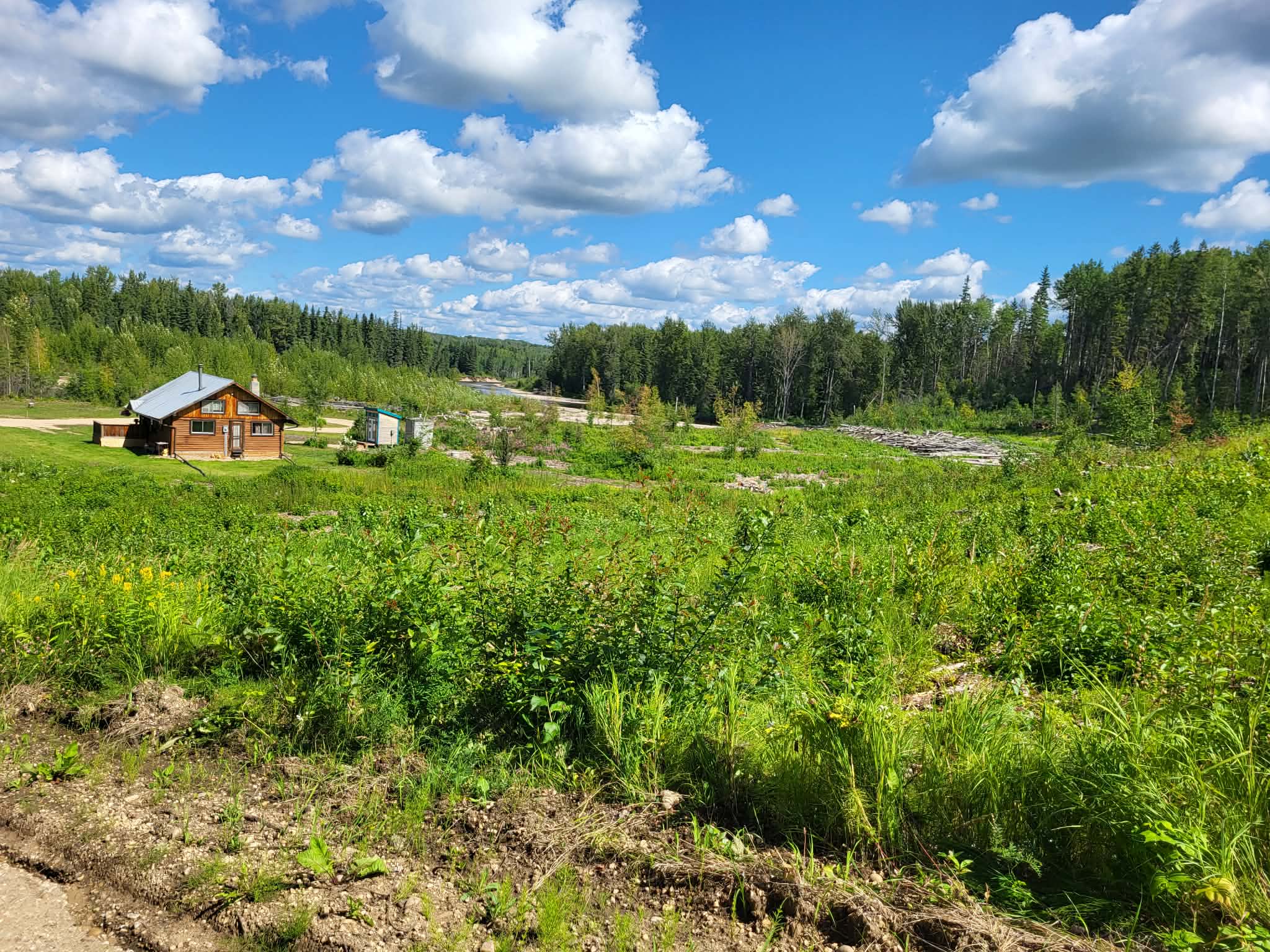 Picture of the site