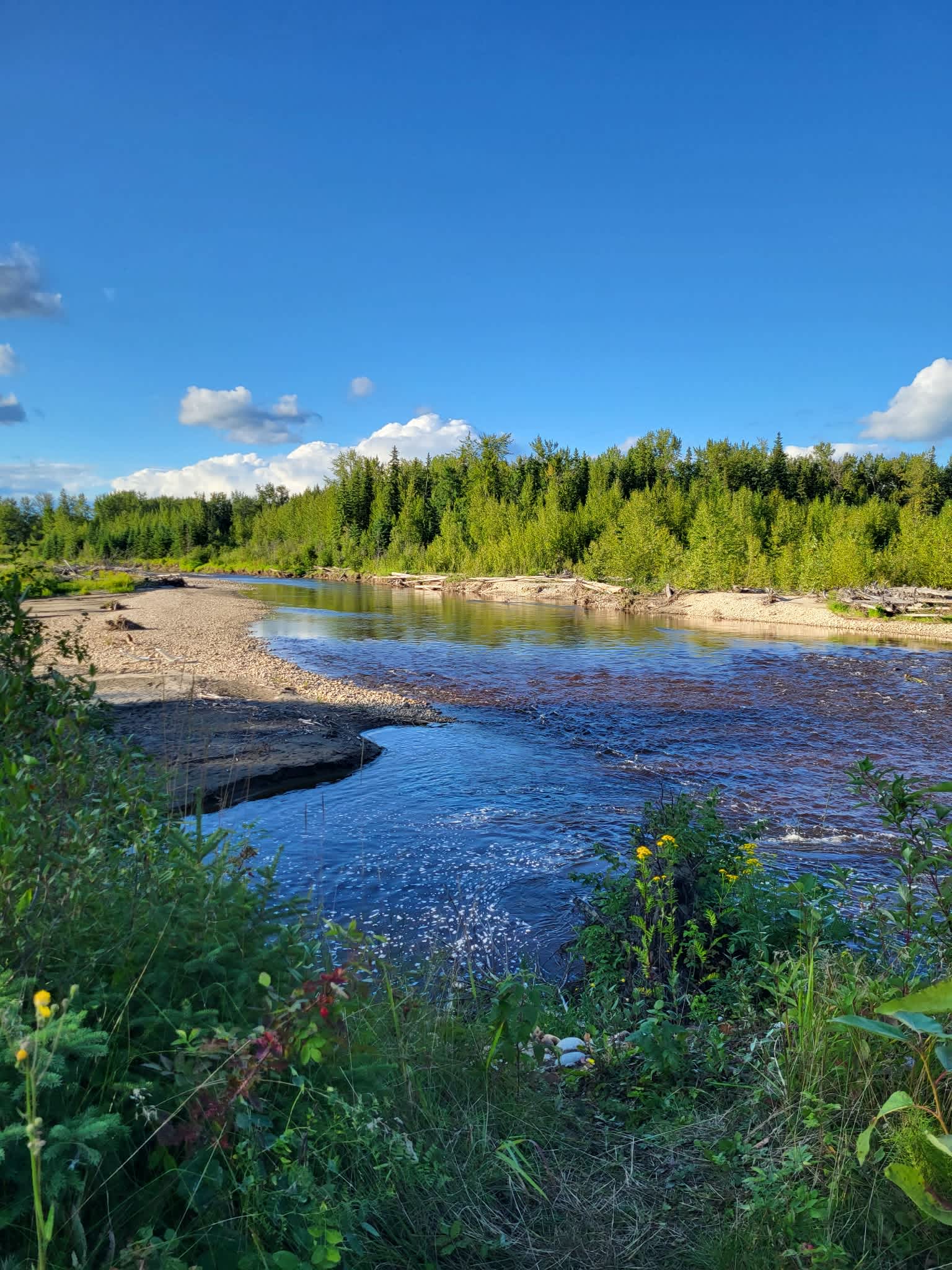 At The River — Secluded Cabin