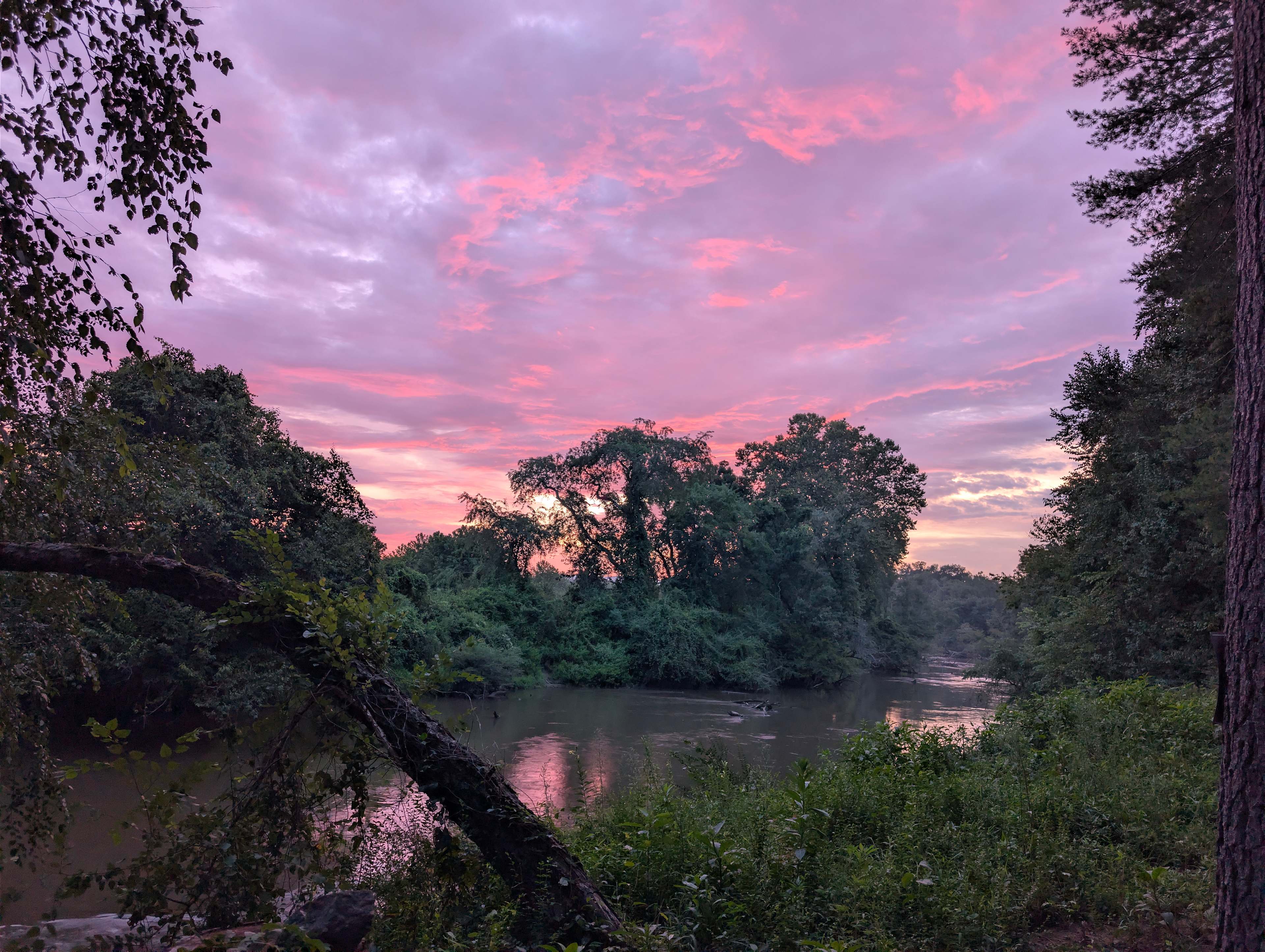 The Riverview Farm