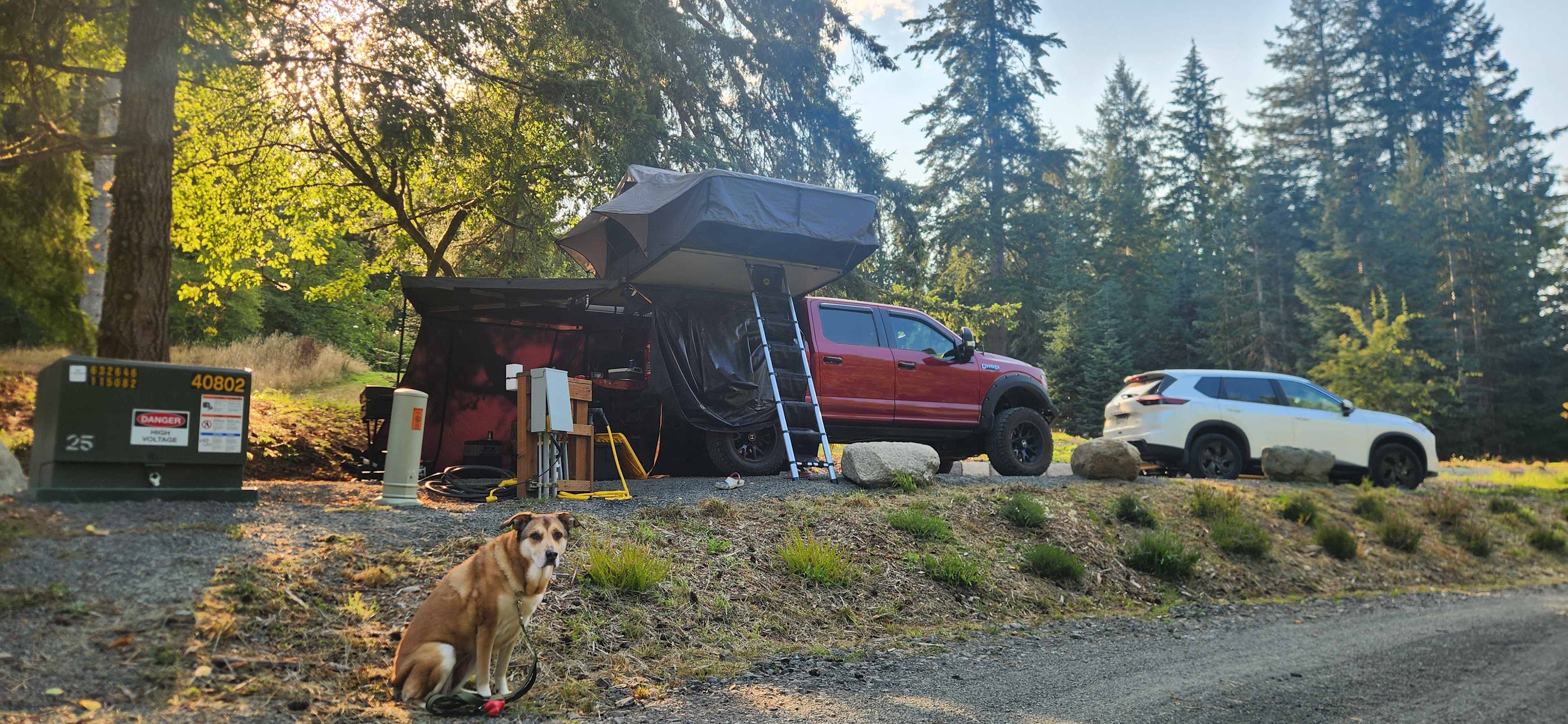 Quilcene Firwoods Getaway
