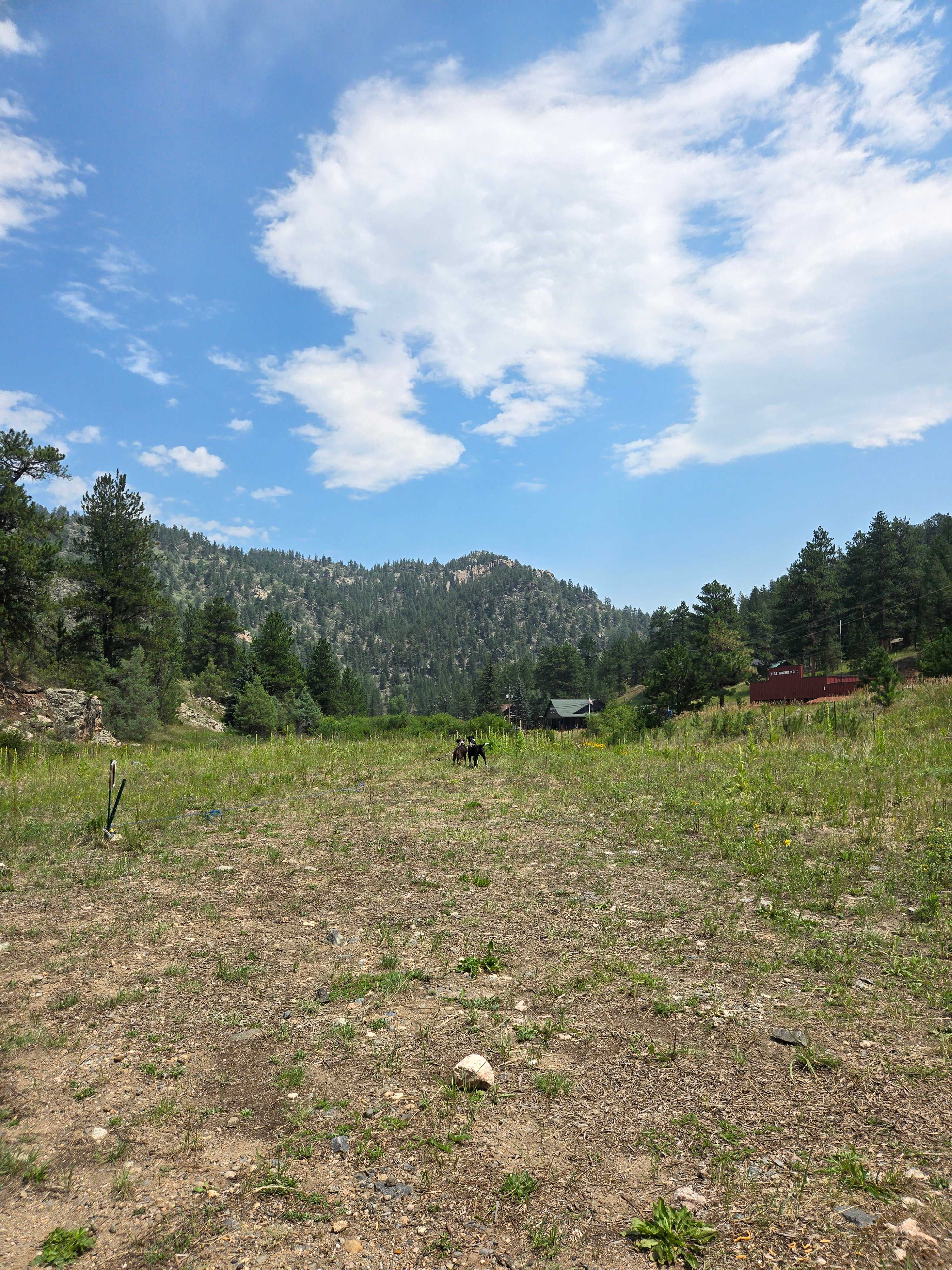 RV site near Estes Park