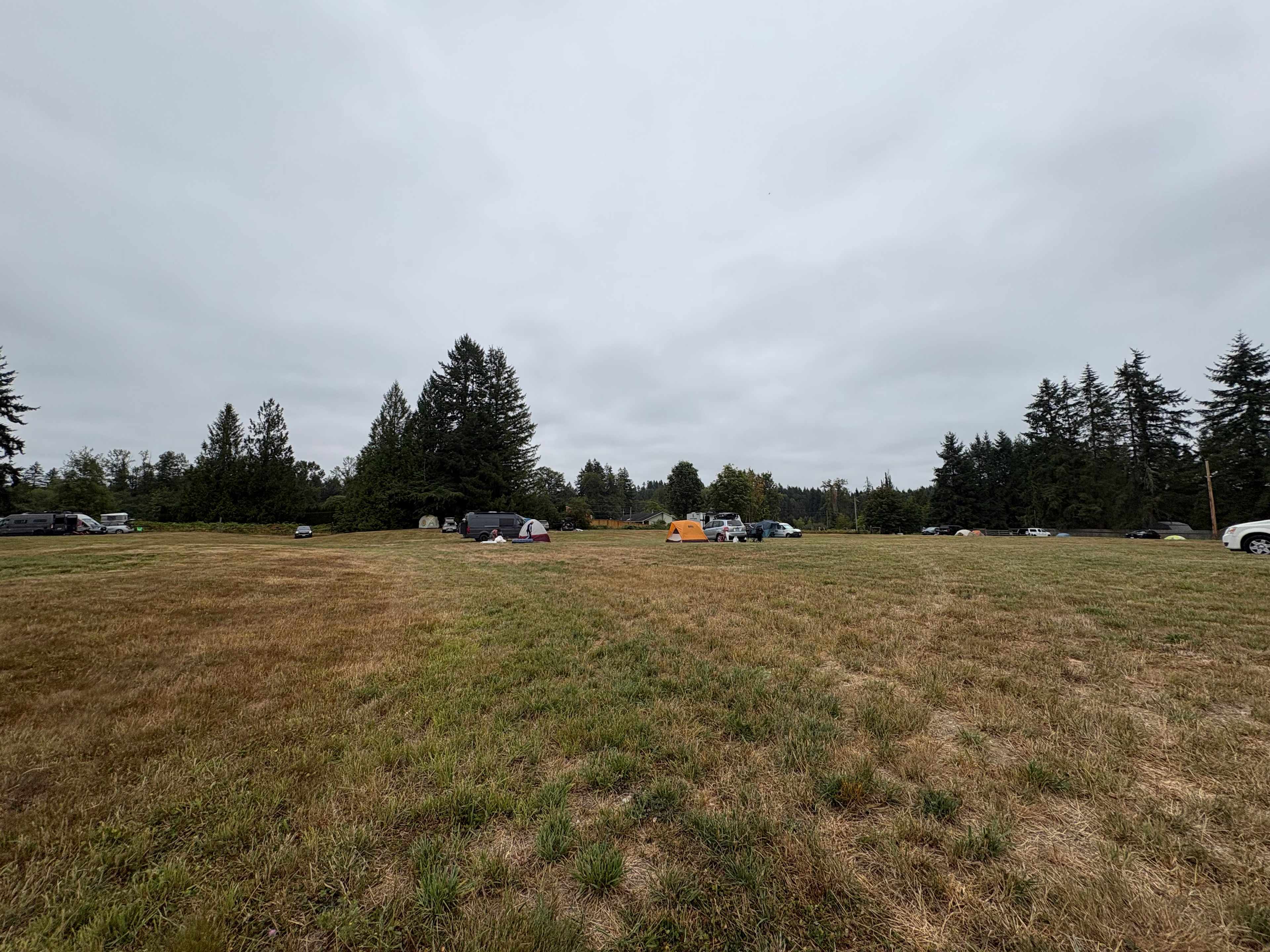 Honeysuckle Hollow