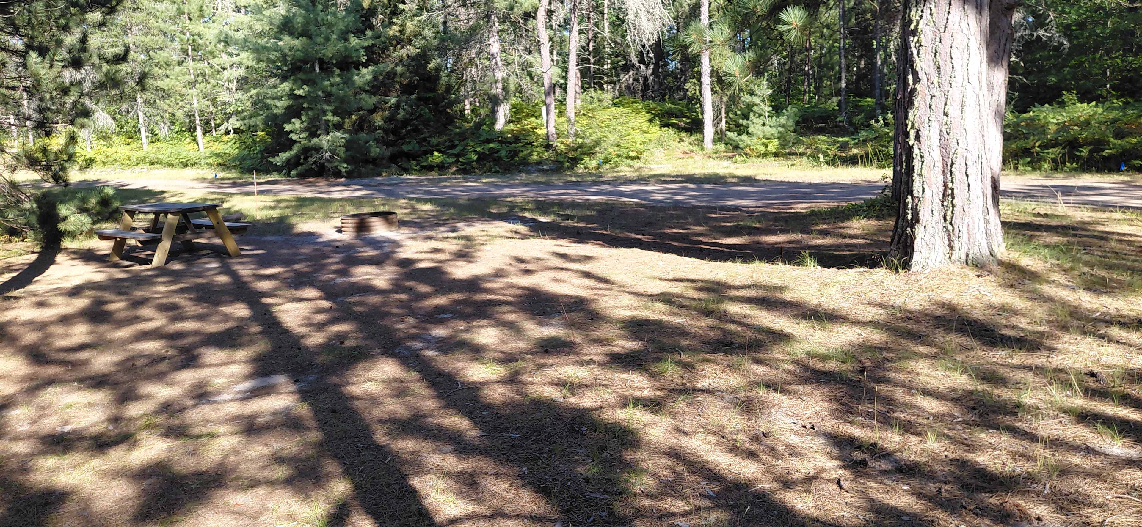 Shivering Timbers Family Campground