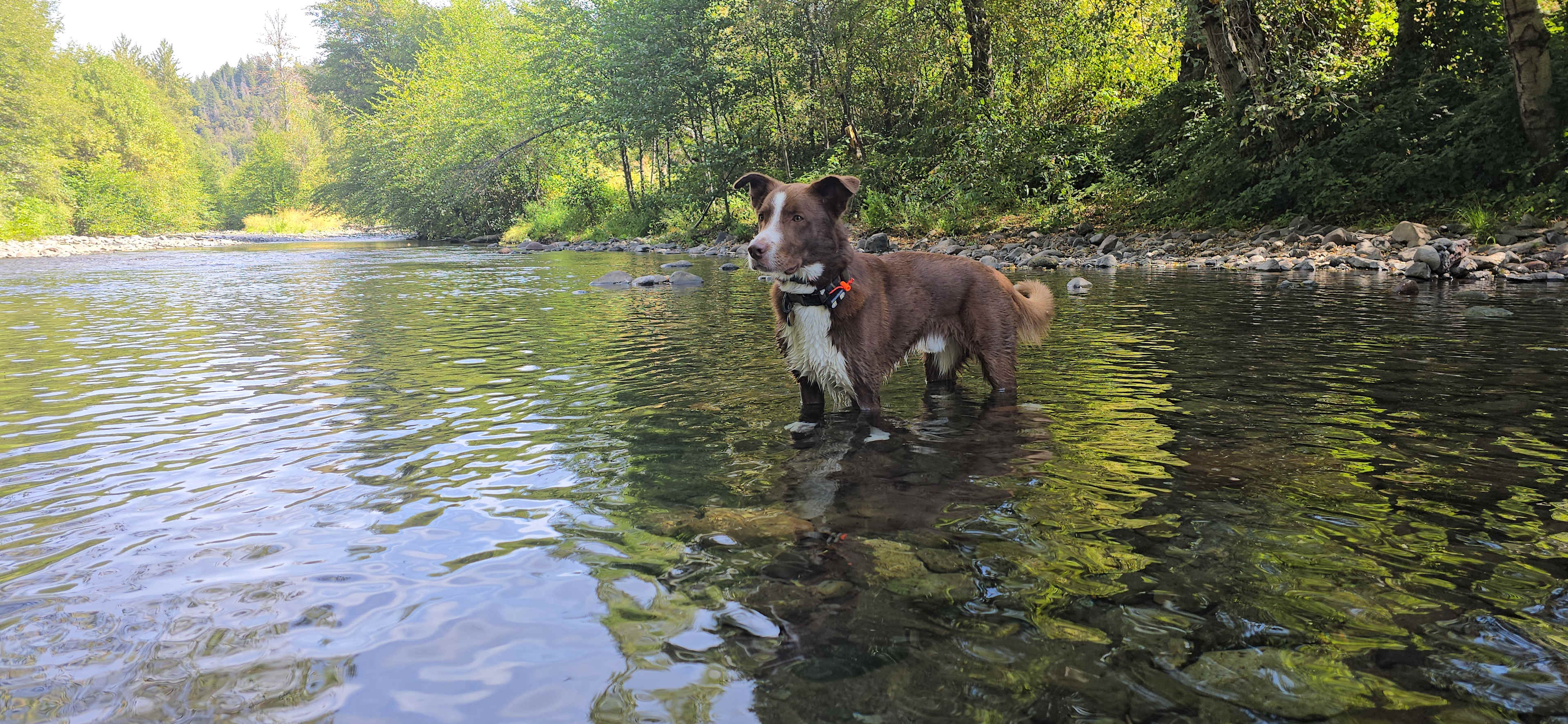 Kosk Creek Campgrounds