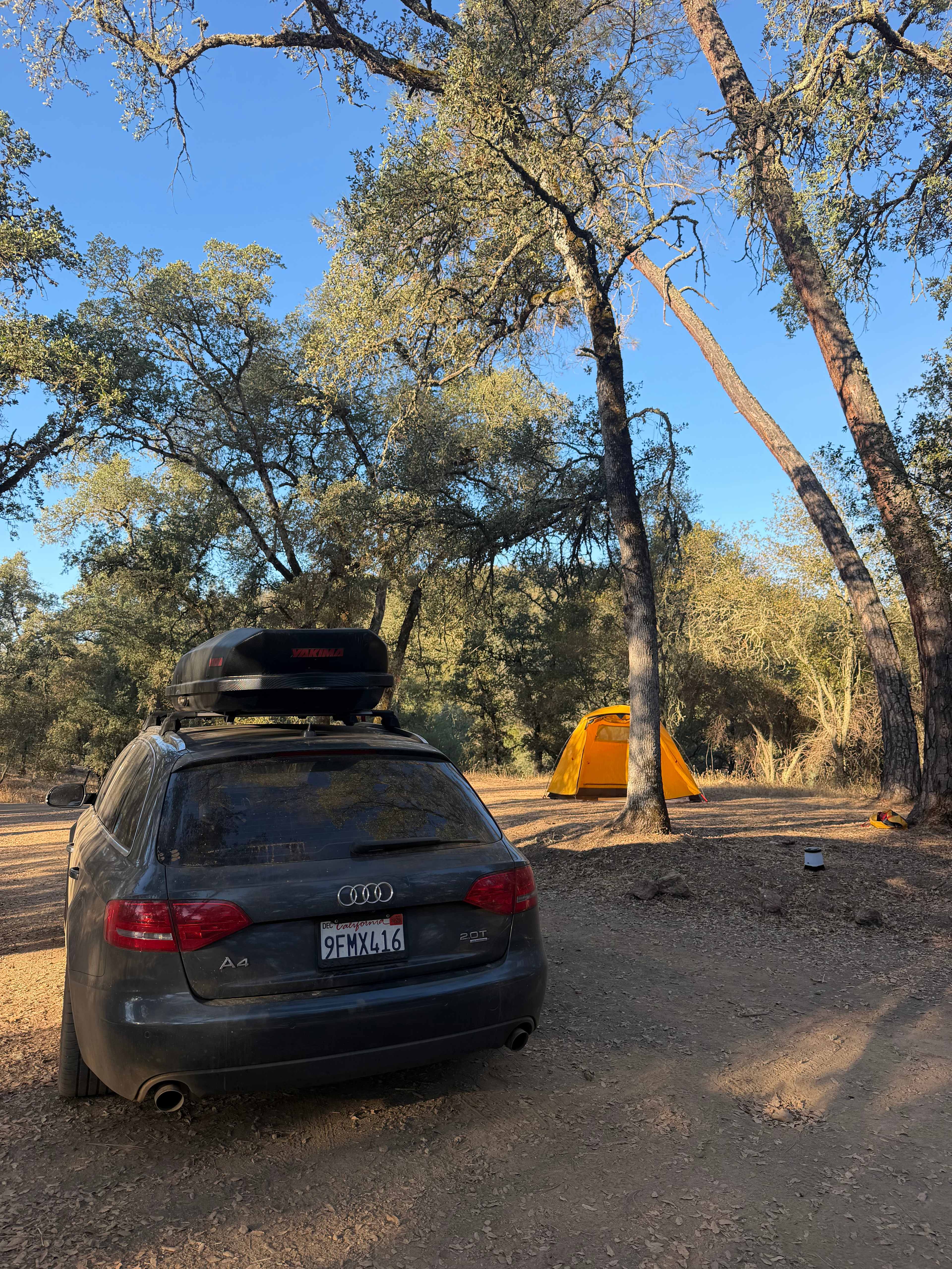 Site 15 (could have several tents) - Watch for ant hills 