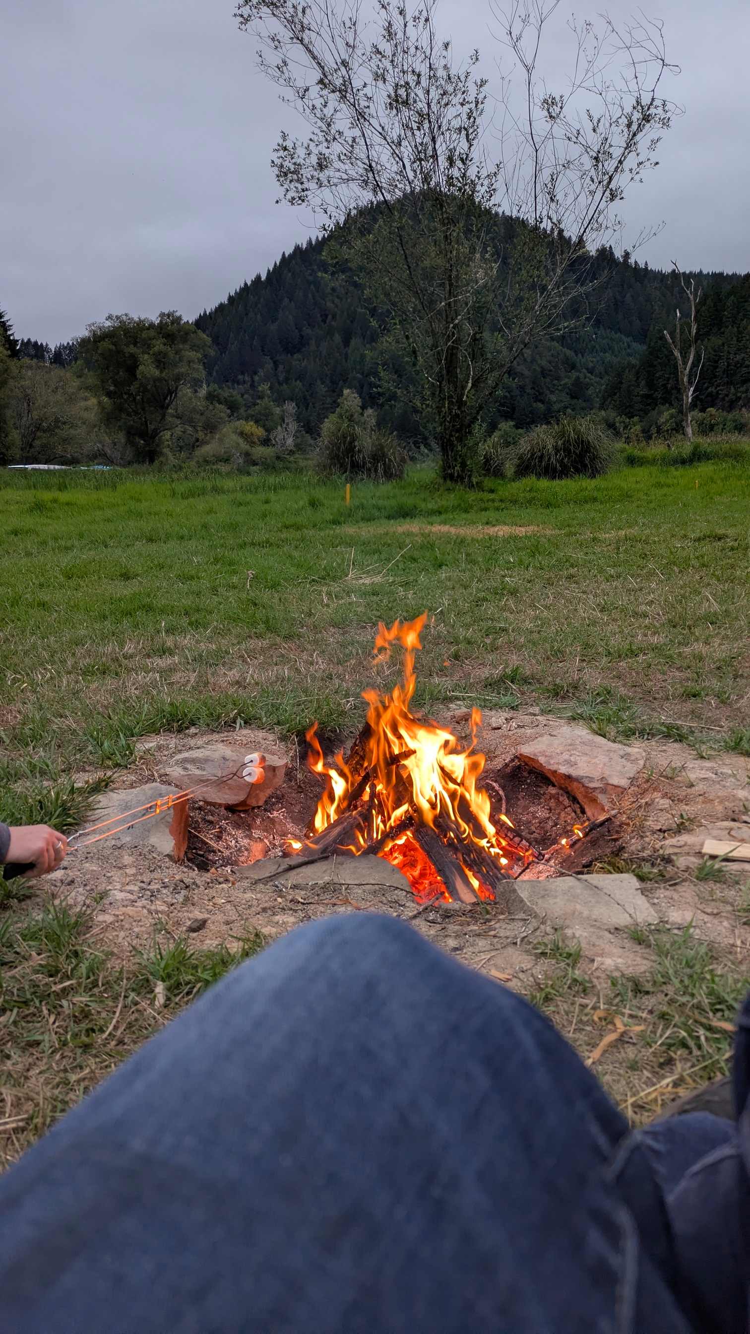 The Park at Loon Lake