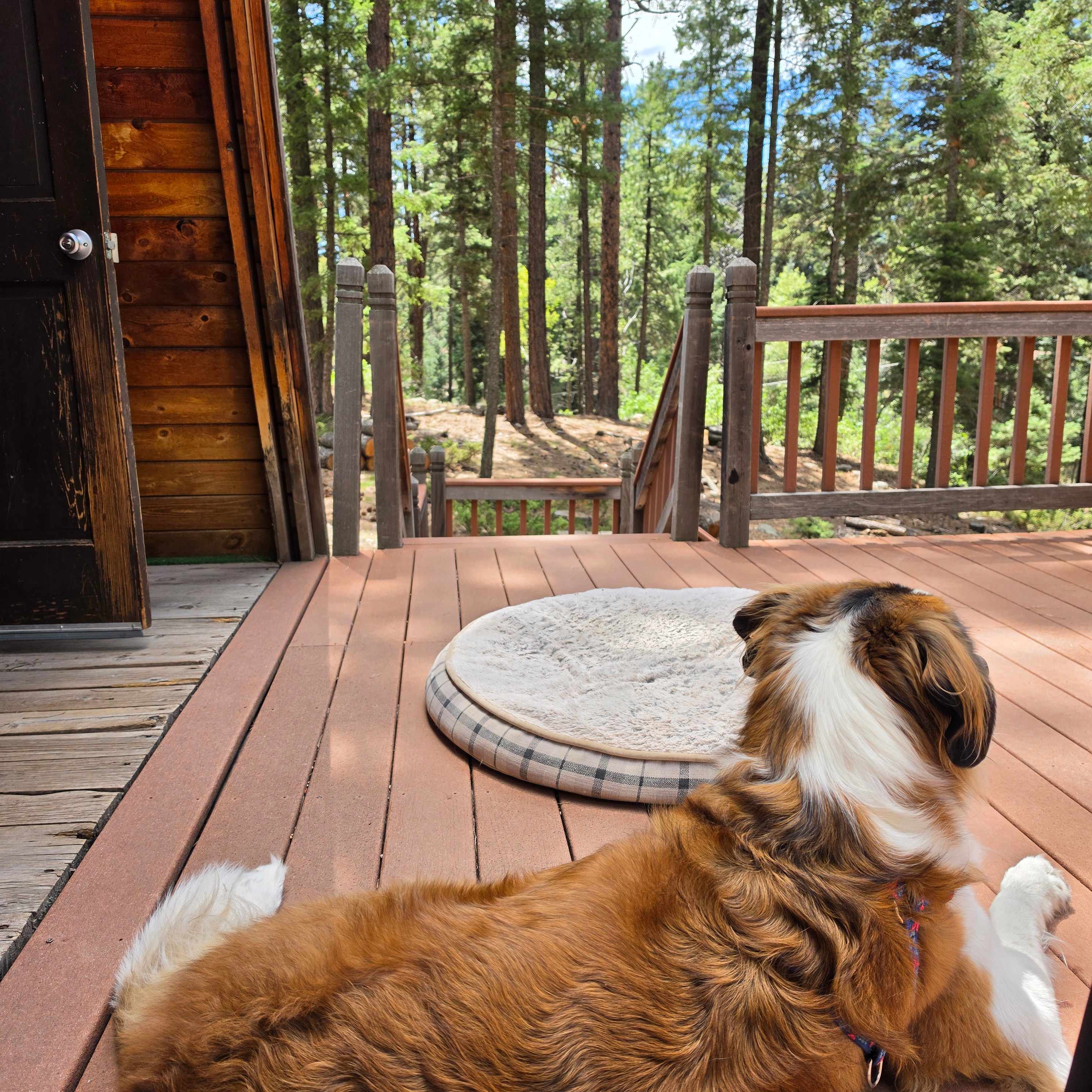 Jemez Mountains A-Frame Cabin
