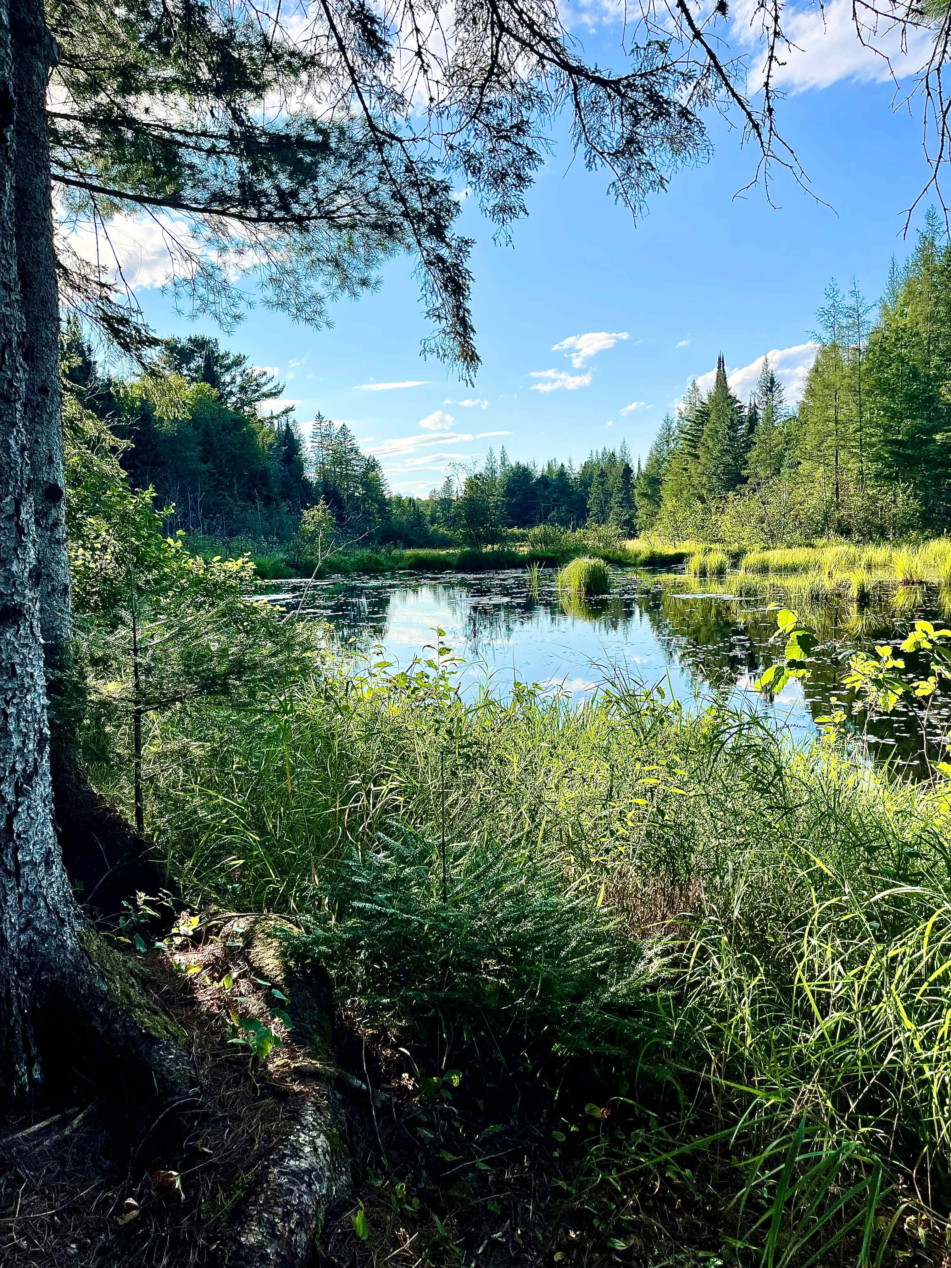 Such a beautiful view away from the heat. We spent most of our time here by the water