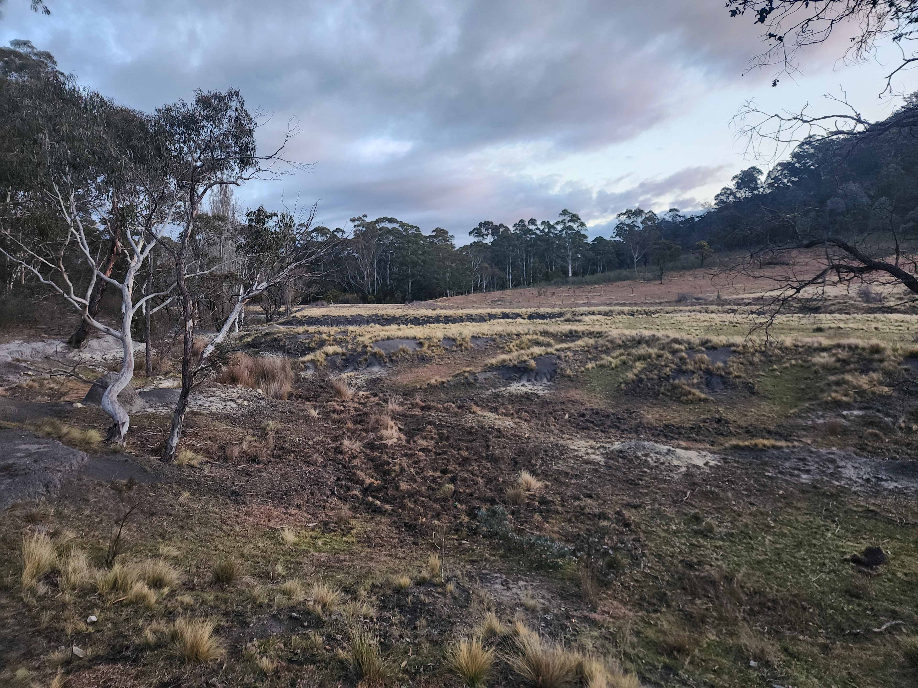 Kangaroo flat