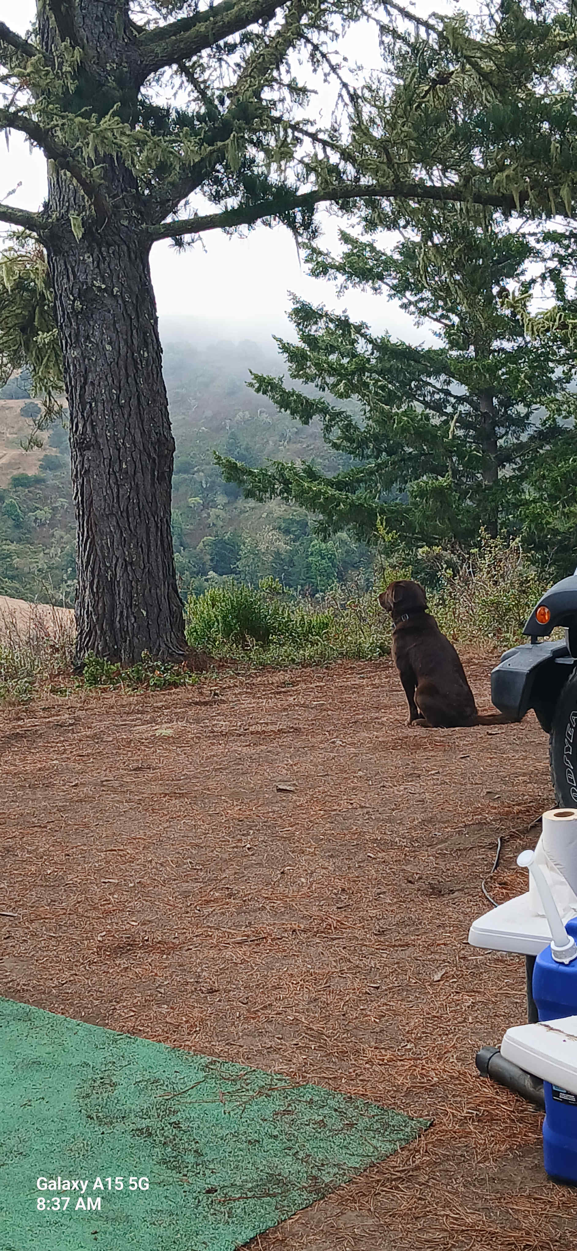 Bear Gulch Hide Out