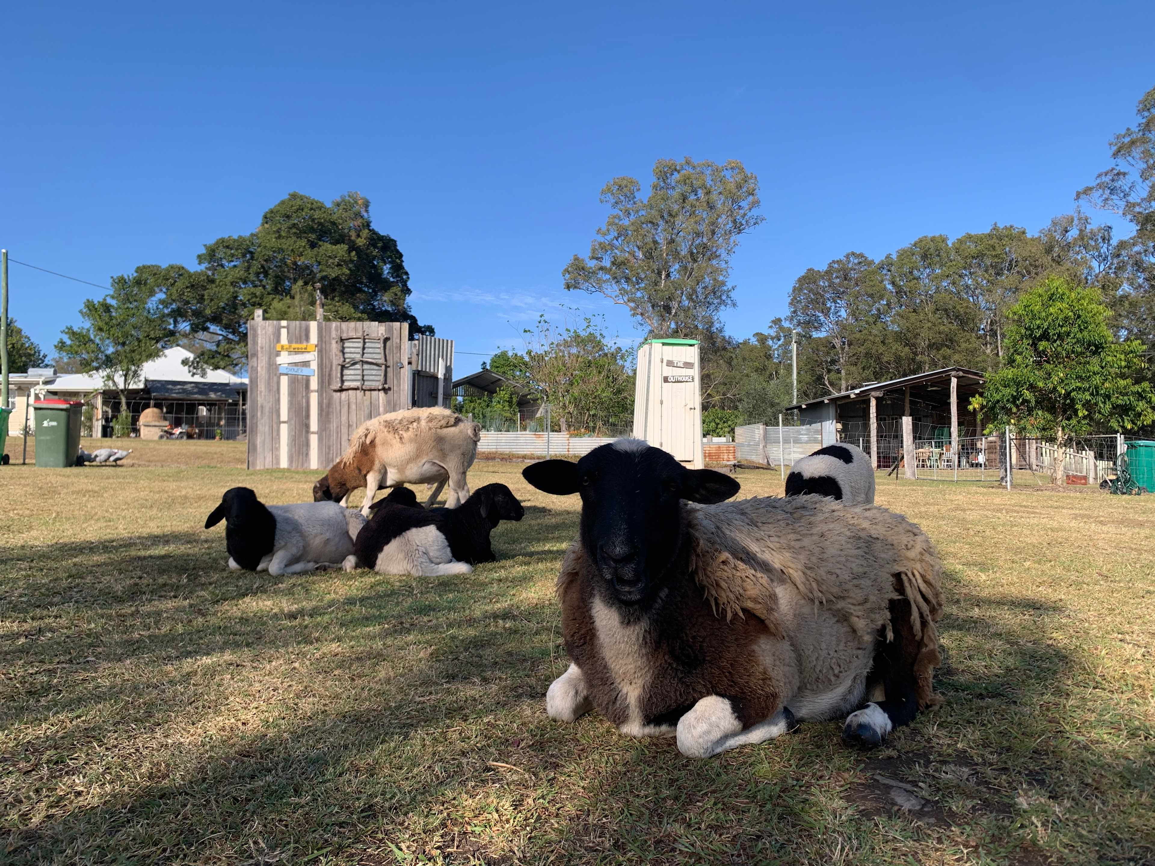 Bellwood Homestead Campground