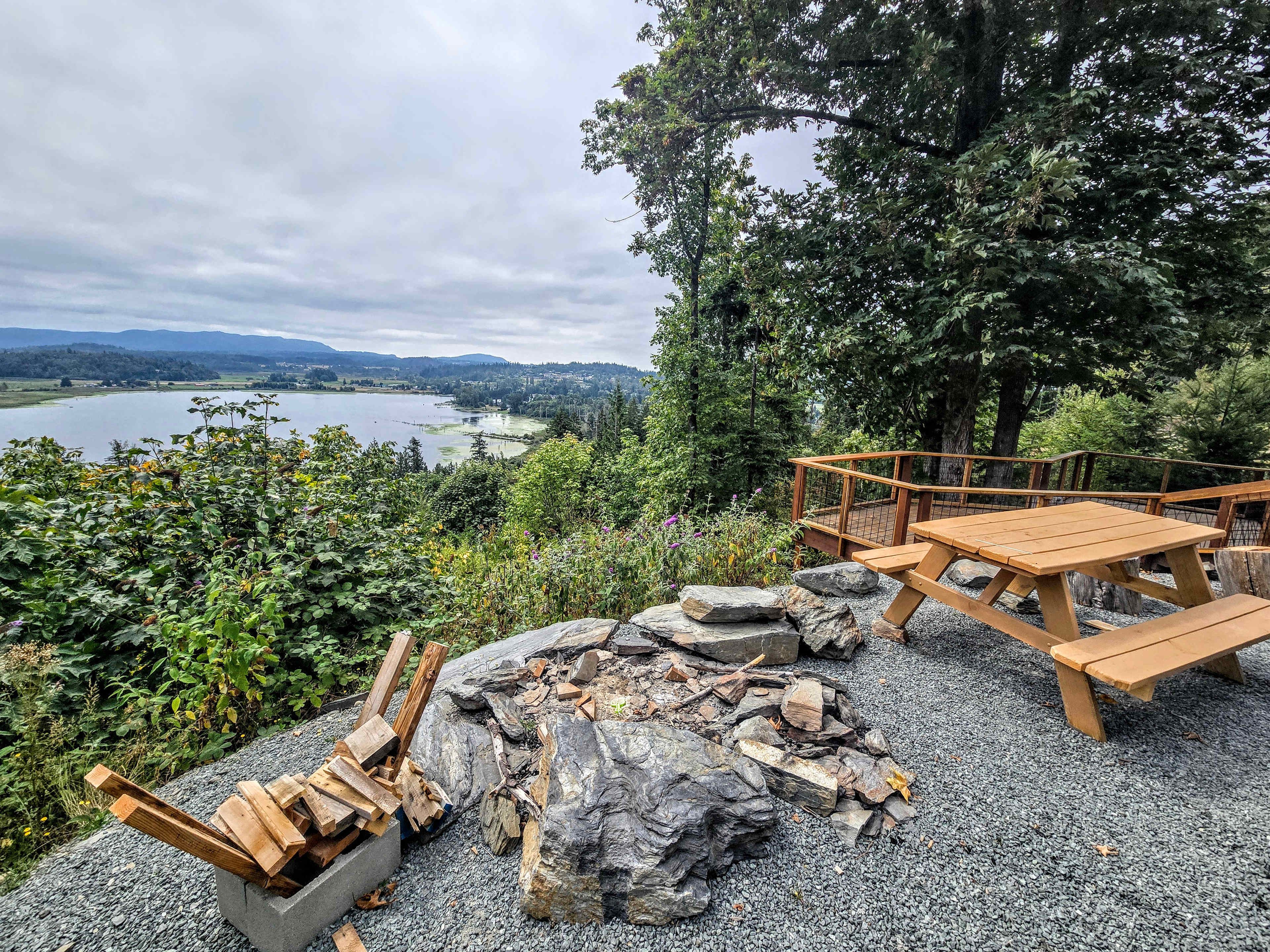 The Lookout