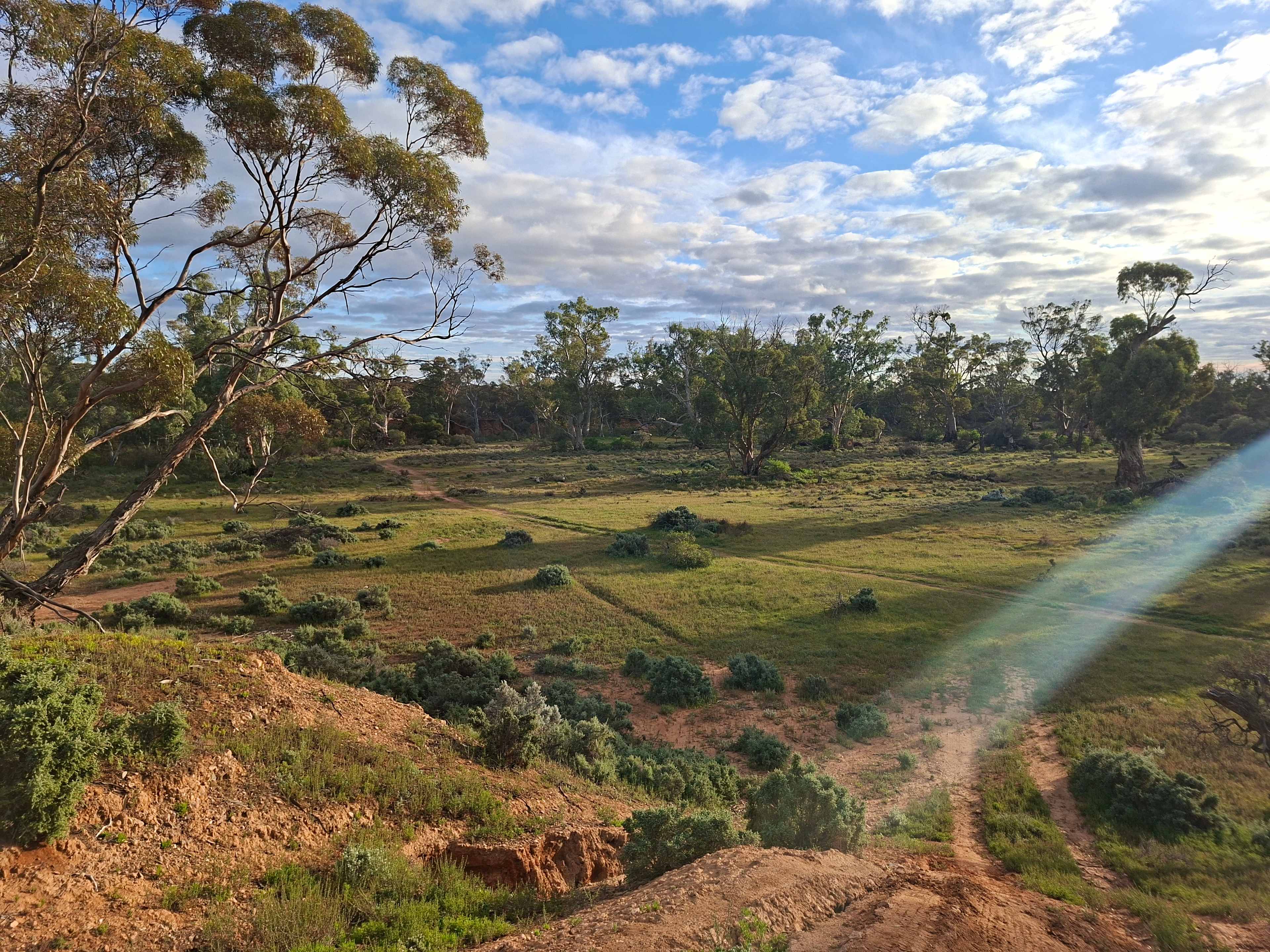 Burra Creek Camping