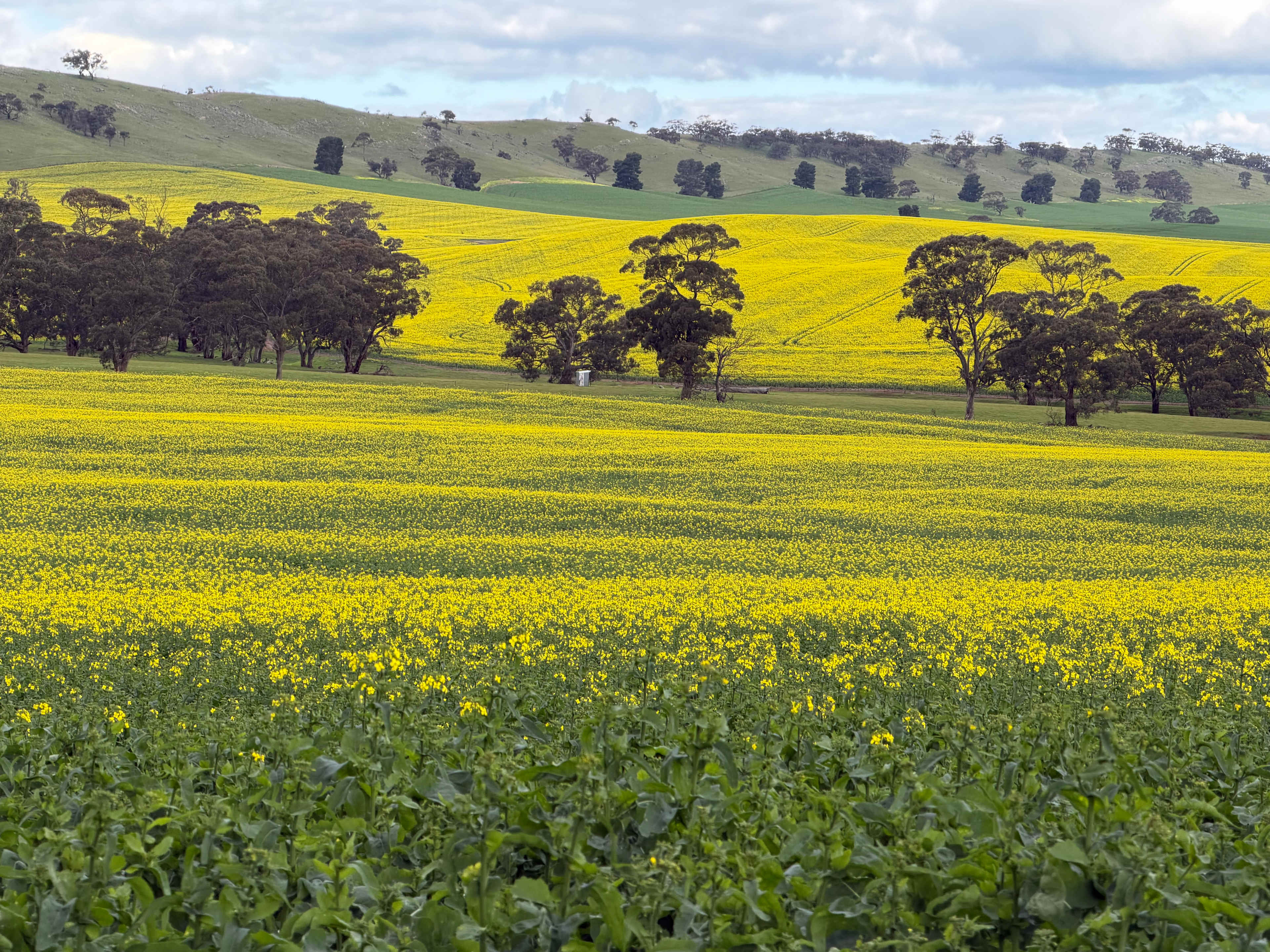 Edgehill Farm Stays Riverton