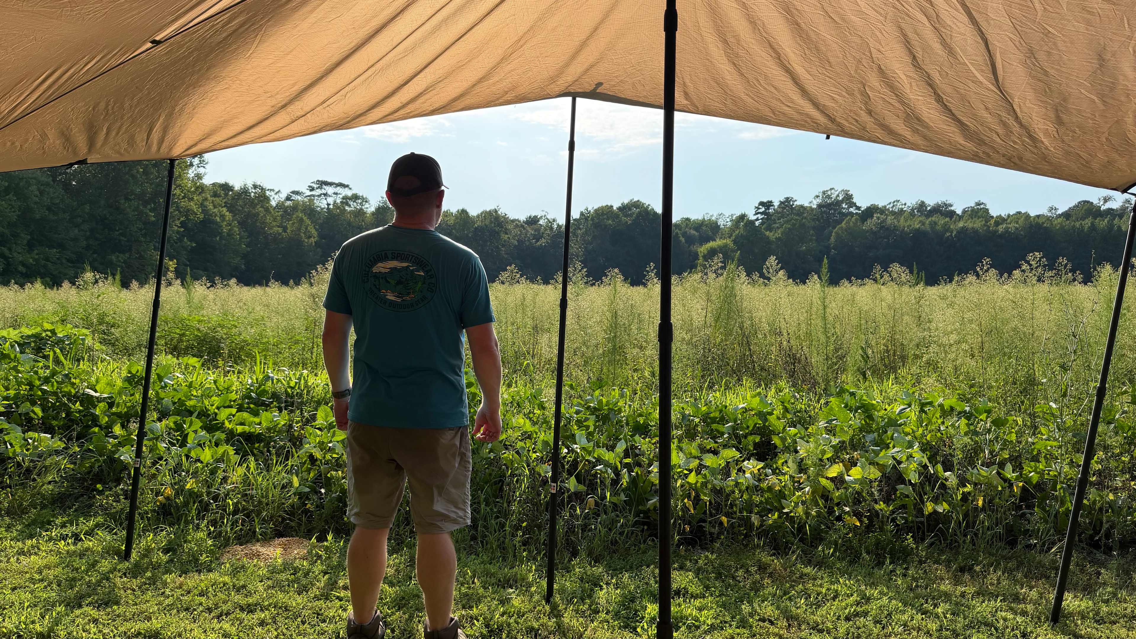 View of field from under the tarp
