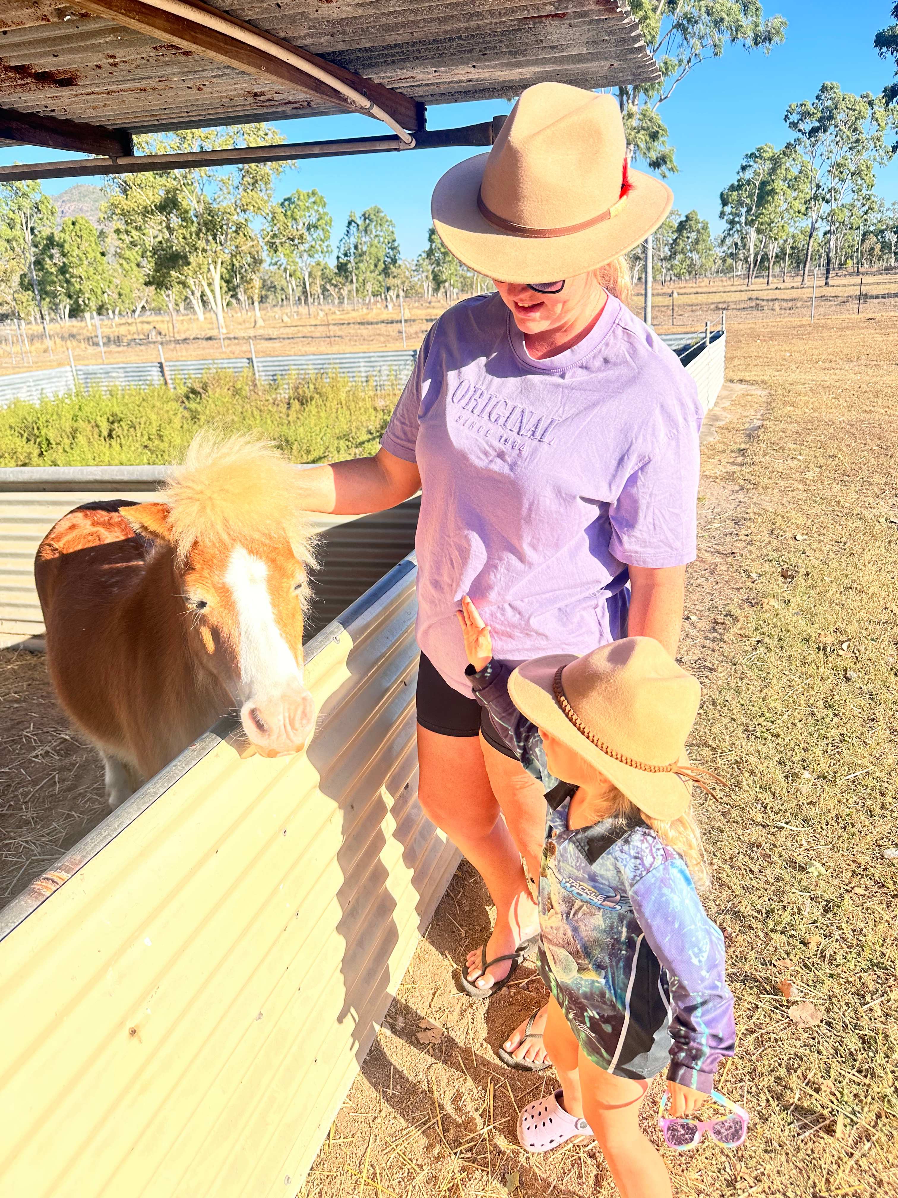 Mountview Farm Stay and Poodles